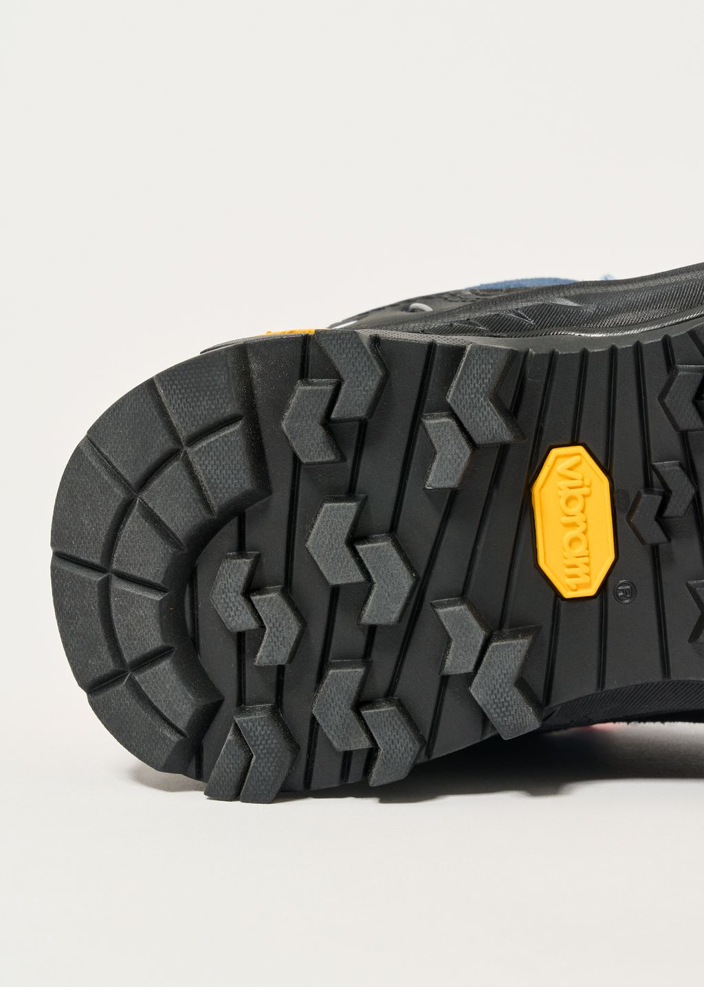 Salewa Alp Trainer 2 GORE-TEX Walking Shoes