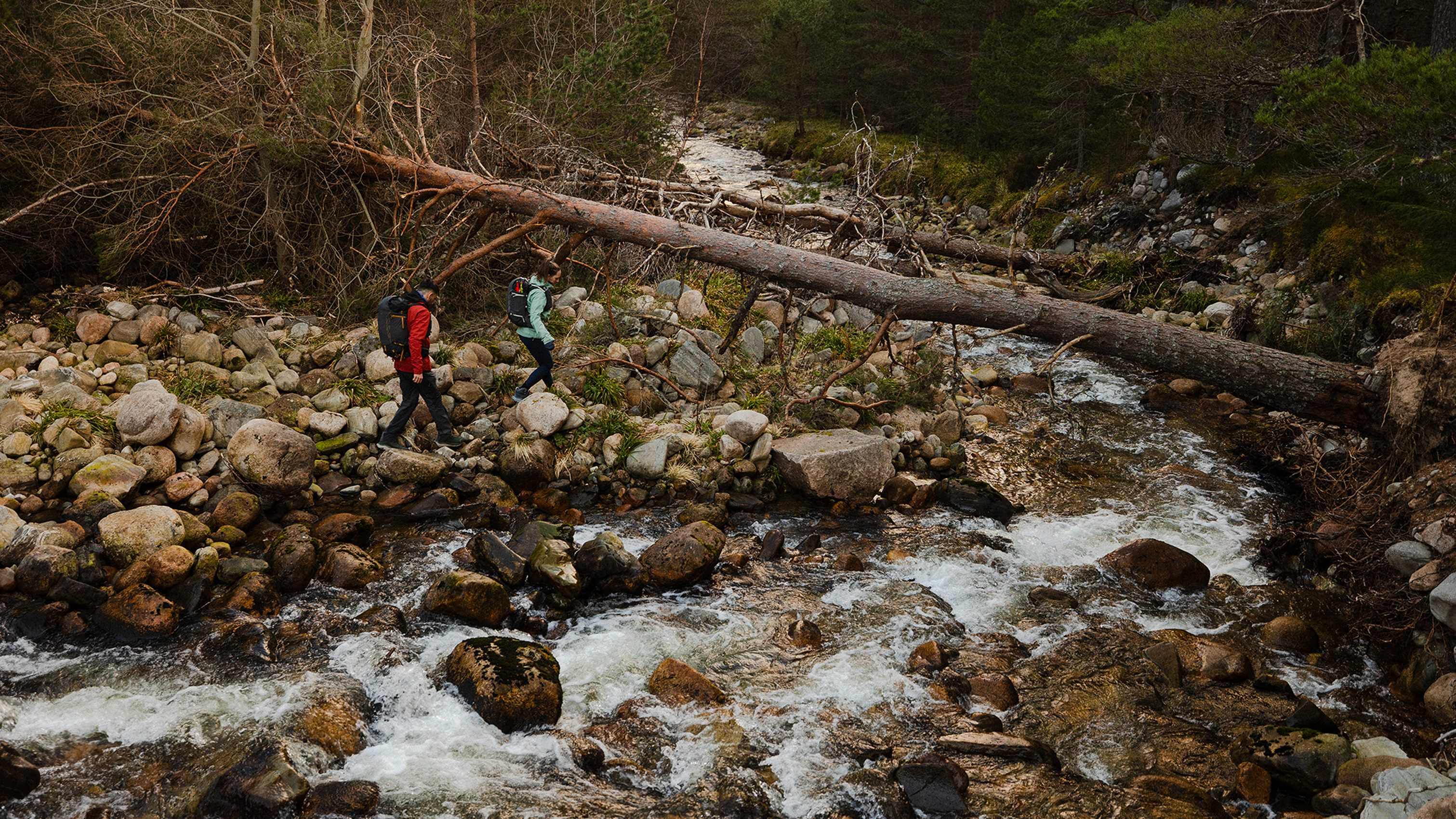 two people walking on rocks near stream