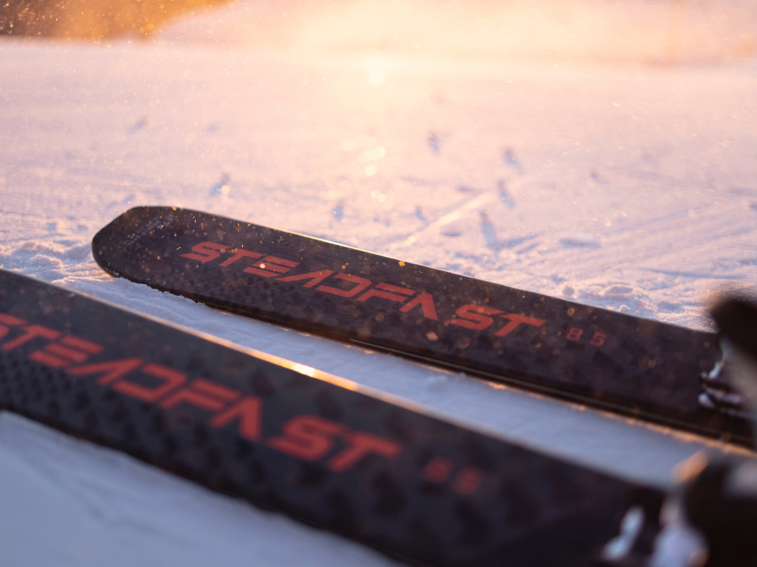 Close-up of two skis on snow at sunset, featuring the brand name "STEADFAST" in bold red letters.