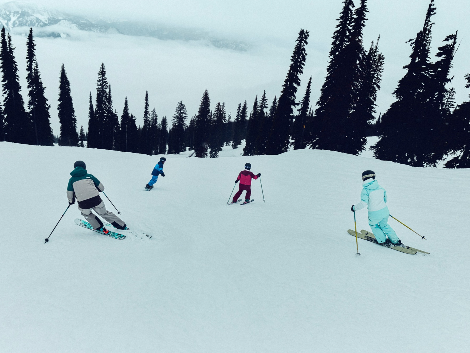 Group of skiers descending a snowy mountain slope, surrounded by tall pine trees and misty mountains in the background.