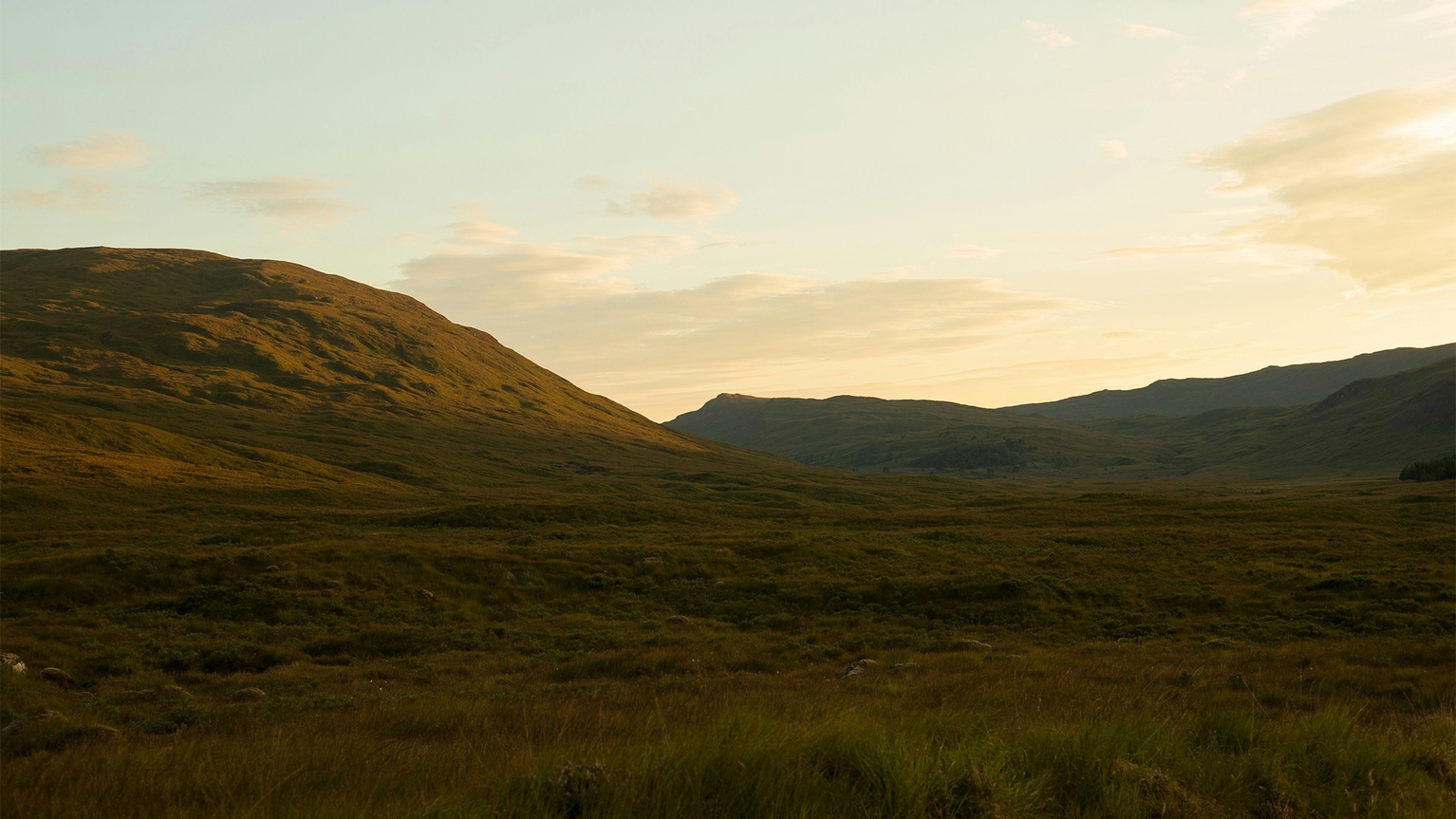 Rolling hills bathed in soft golden light under a clear sky, creating a tranquil and expansive scenery.