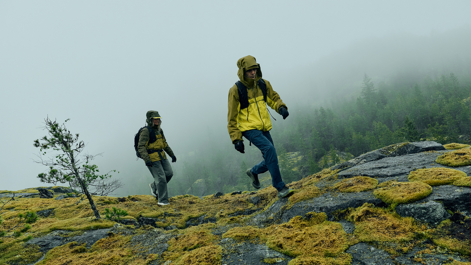 Two hikers in yellow jackets traverse a foggy, moss-covered mountain terrain, surrounded by mist and trees.