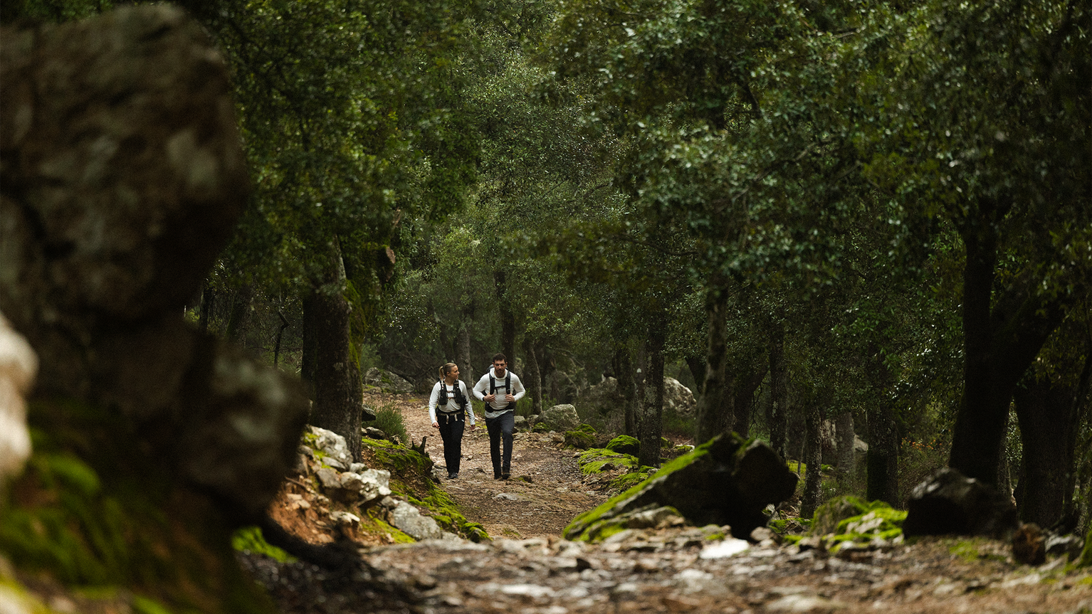 Two hikers in outdoor gear walking through a lush forest trail, surrounded by green foliage and rocks.