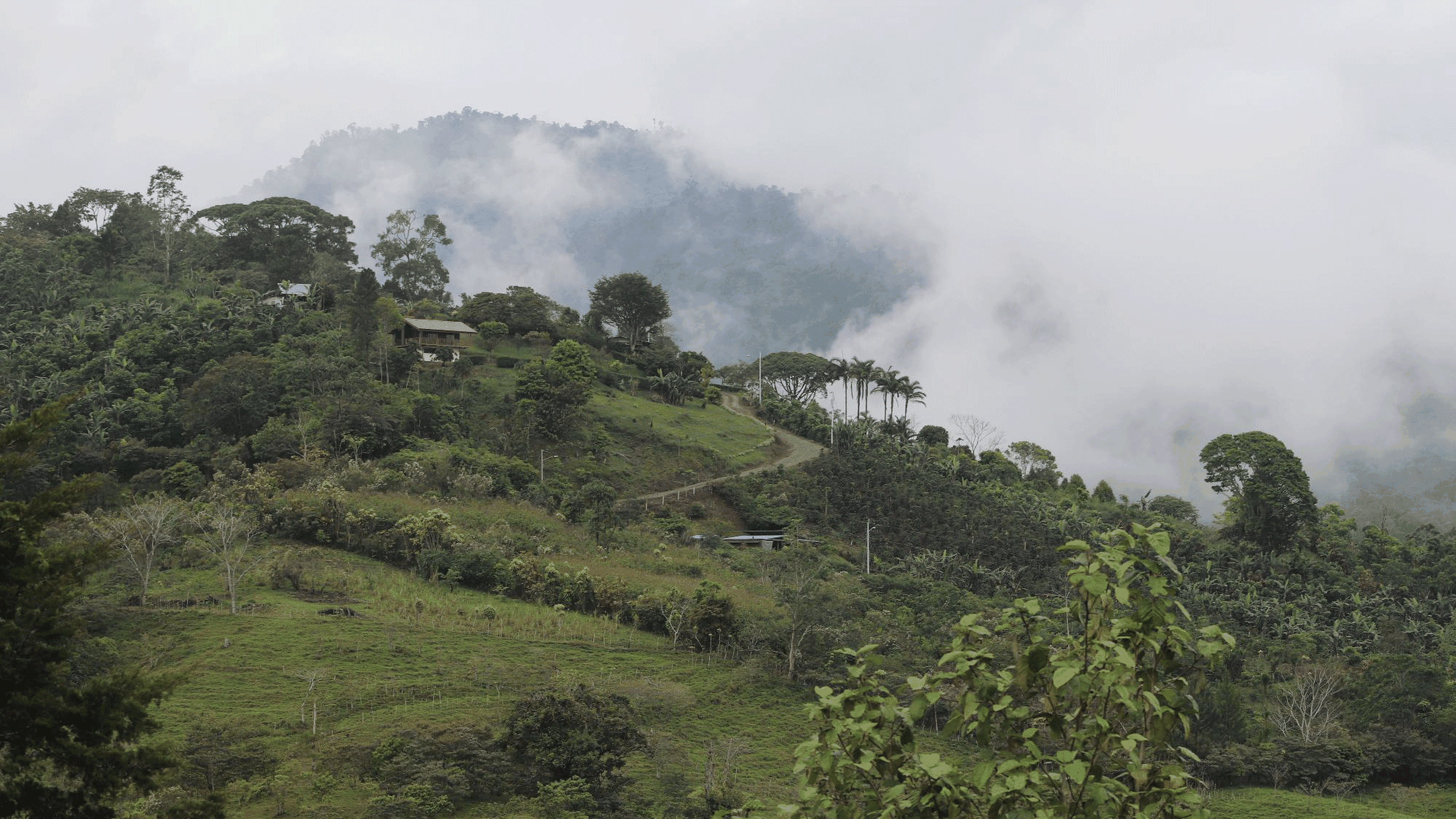 Lush green hillside with a winding path, houses, and mist-covered mountains in the background.