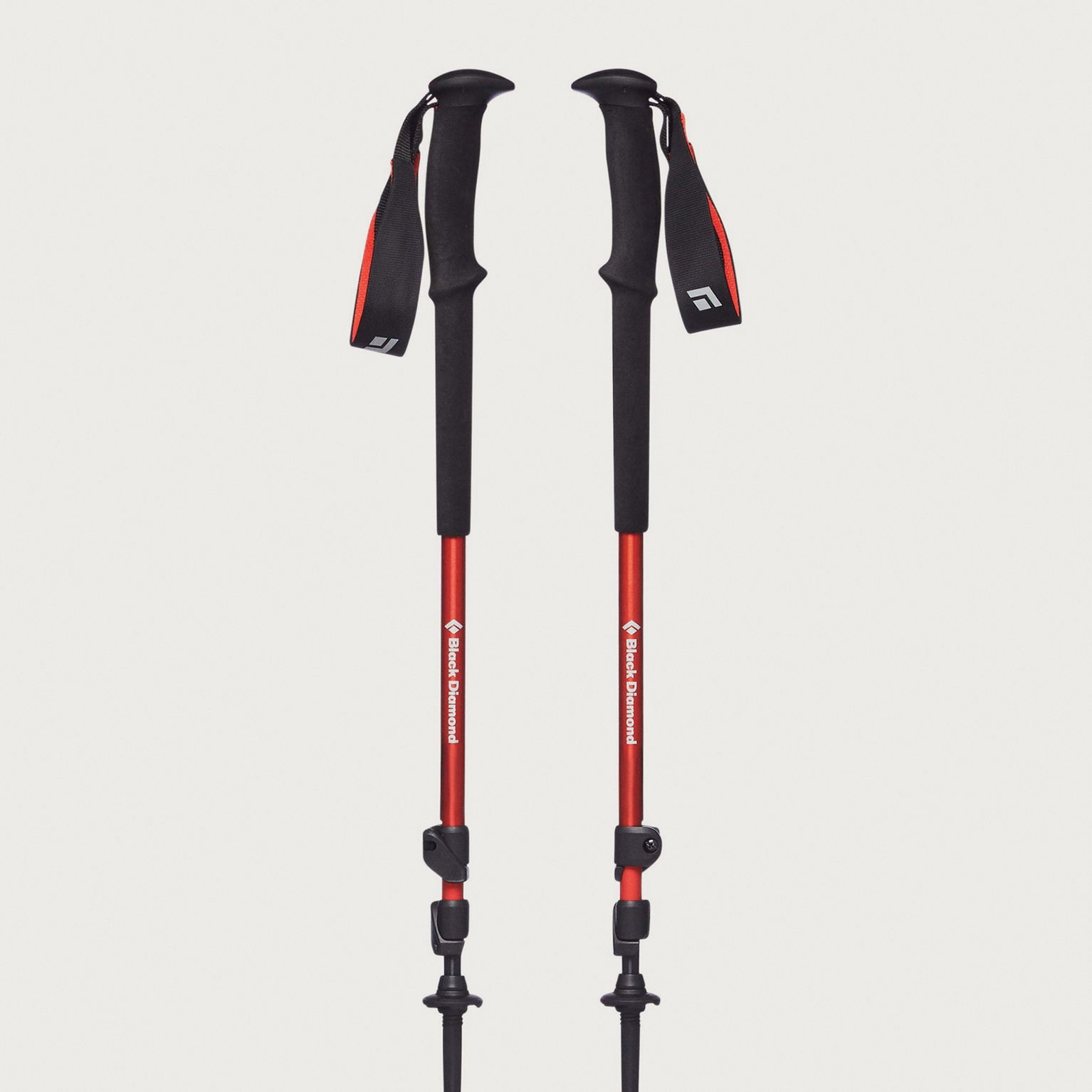 Image of Walking poles