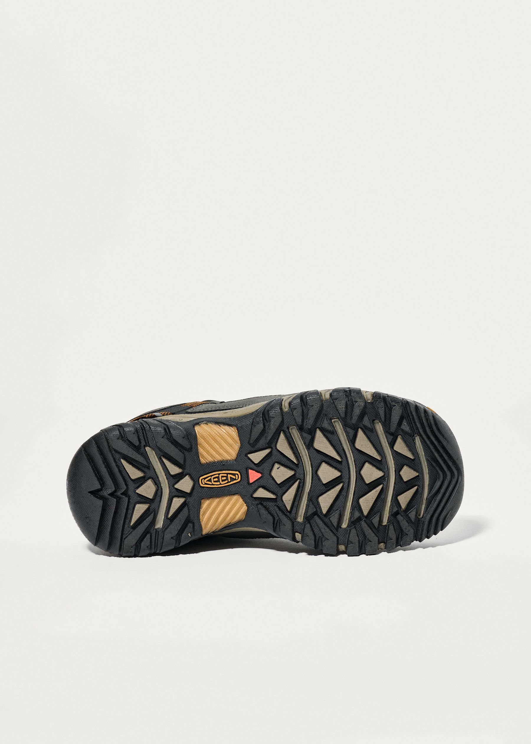 Image - 3 - Targhee III Low Waterproof Shoes