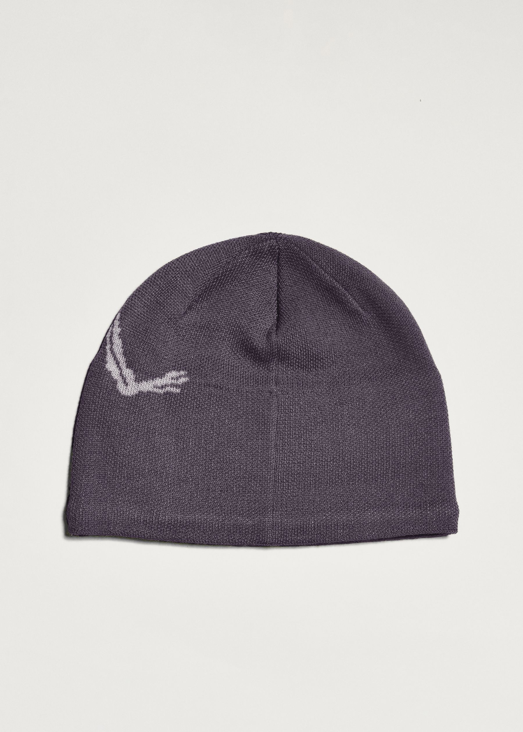 Arc'teryx Bird Head Toque