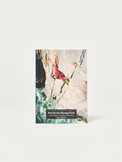 Pembroke Vol. 3 (Range East: Stack Rocks - Hollow Caves) Guidebook