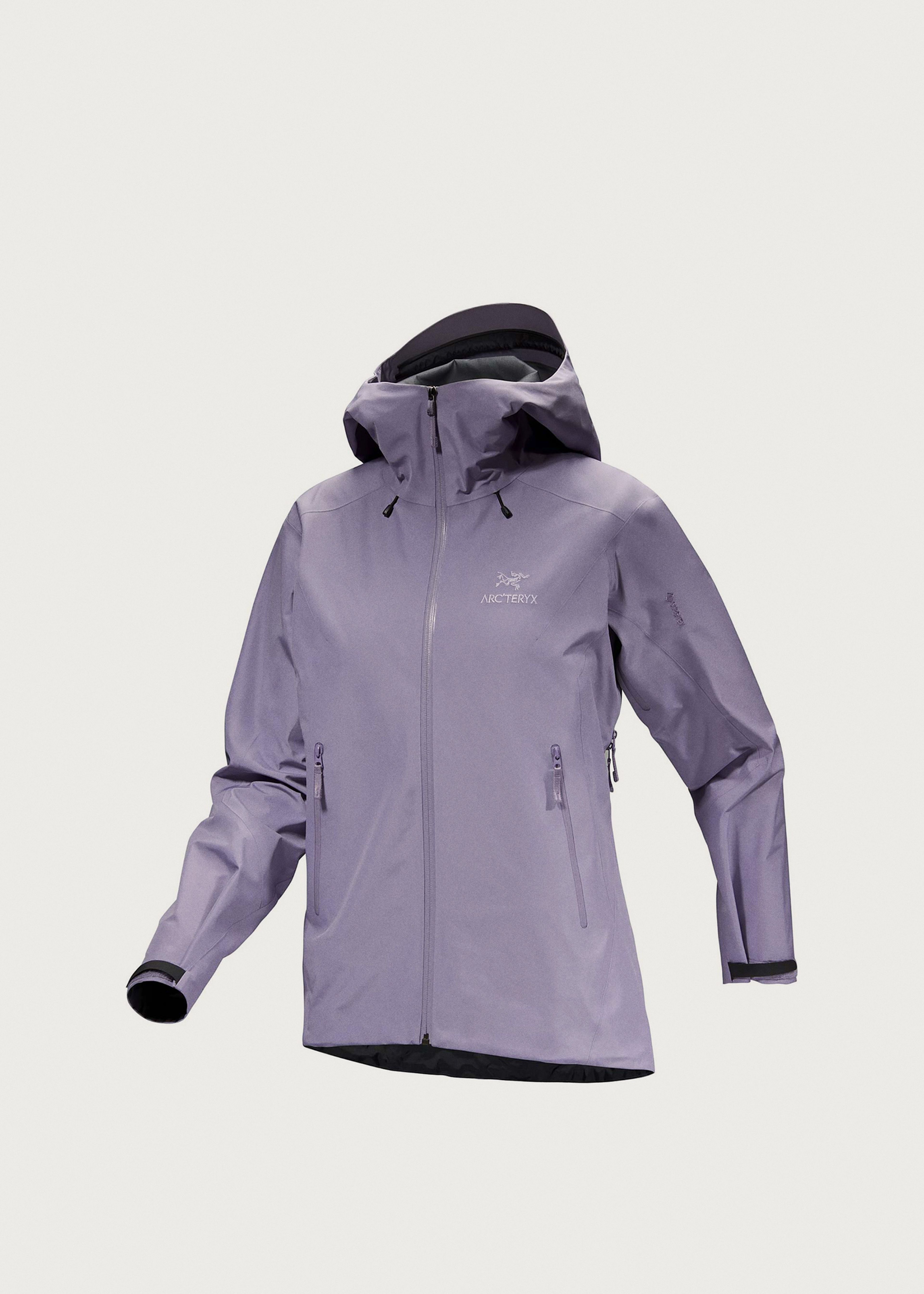 Arc'teryx Beta LT GORE-TEX Jacket