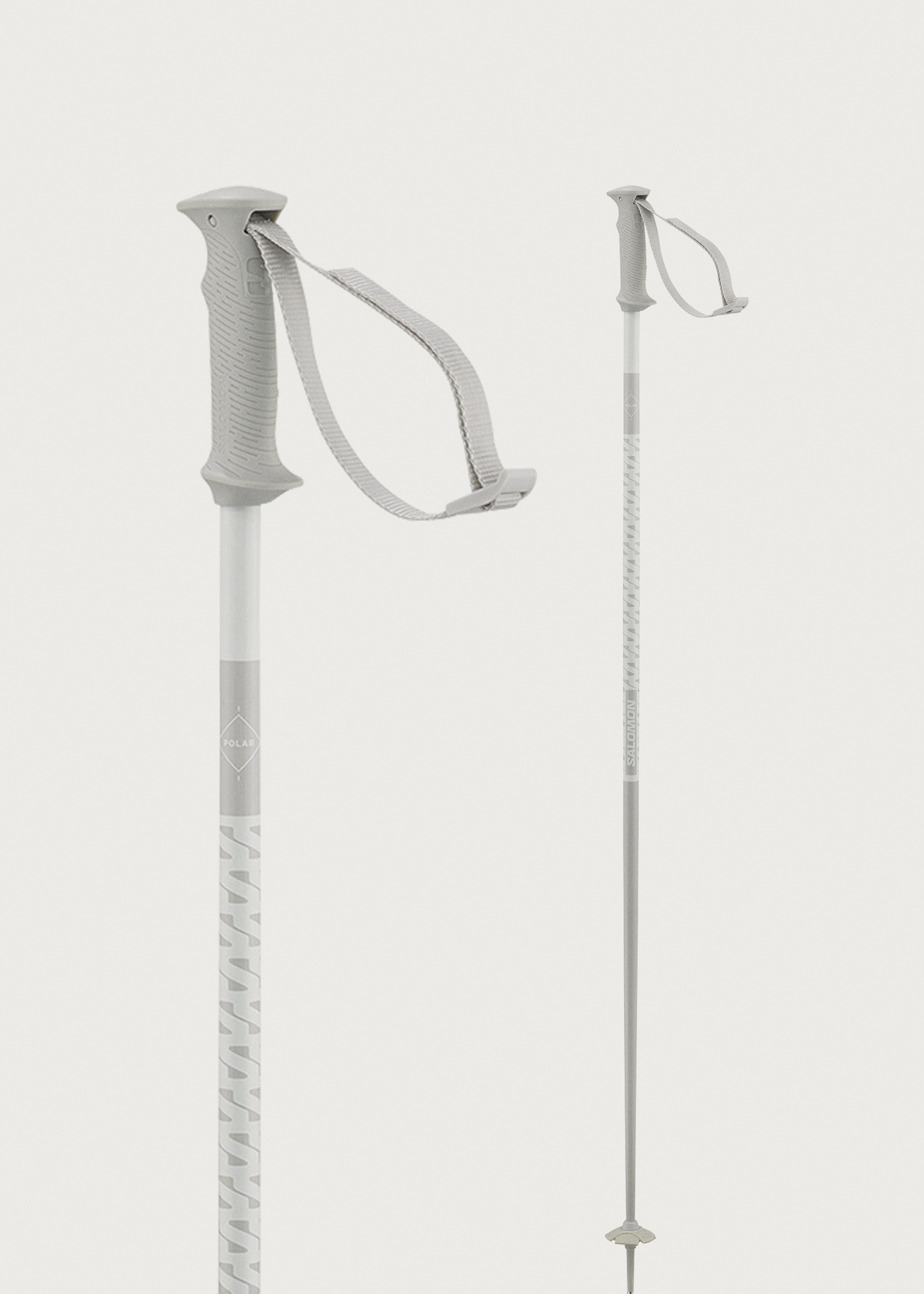 Salomon Polar Access Ski Poles