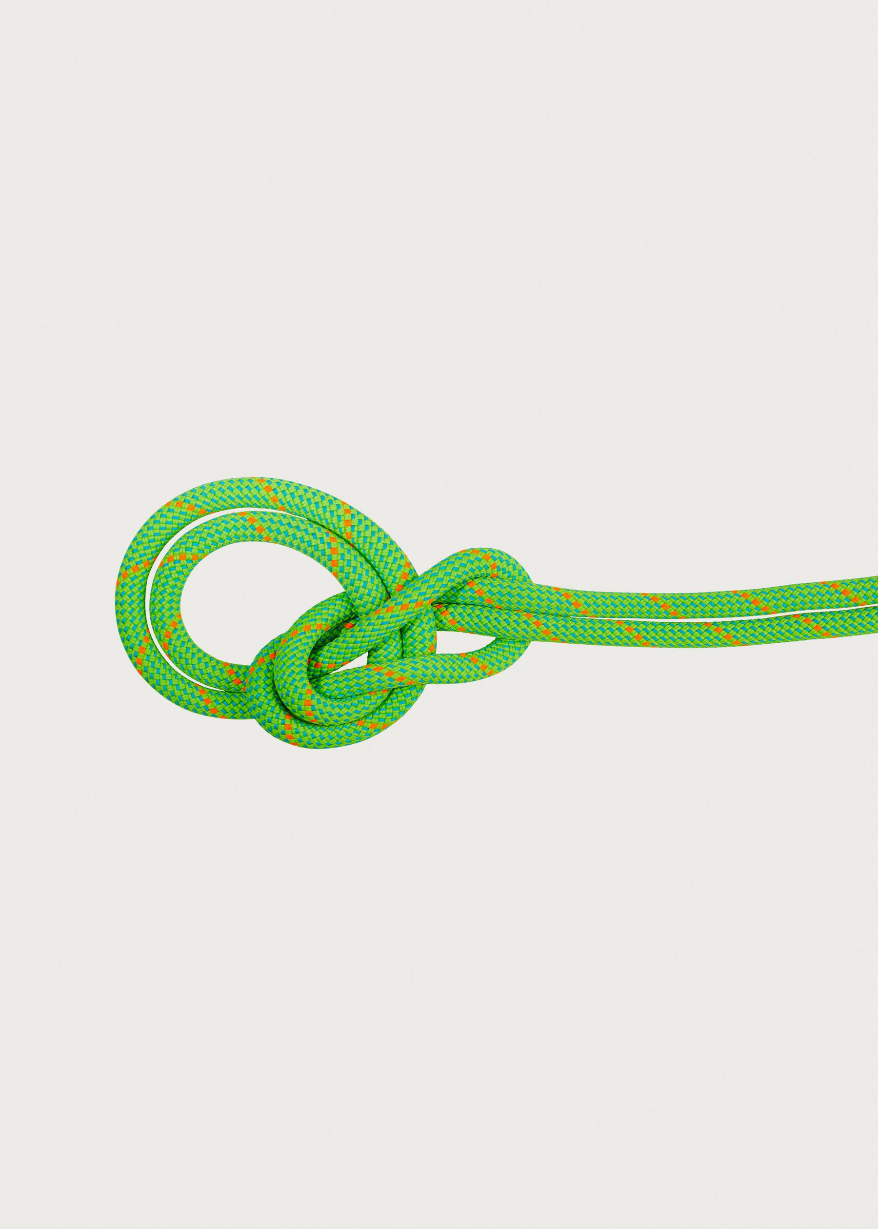 Image - 1 - Crag Dry 9.5 x 70 Rope