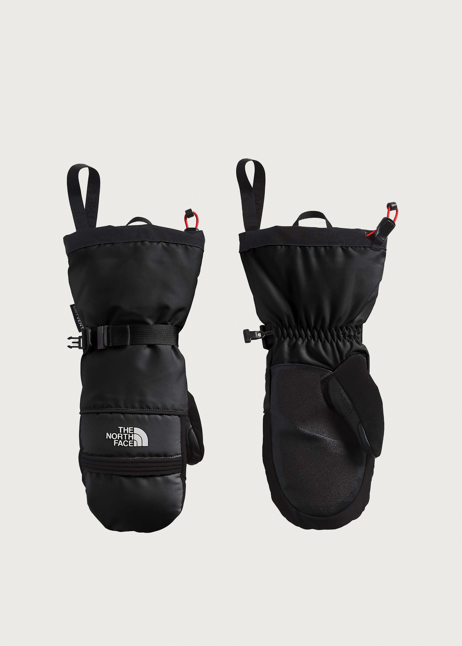 318201901_supplier_ellisbrigha