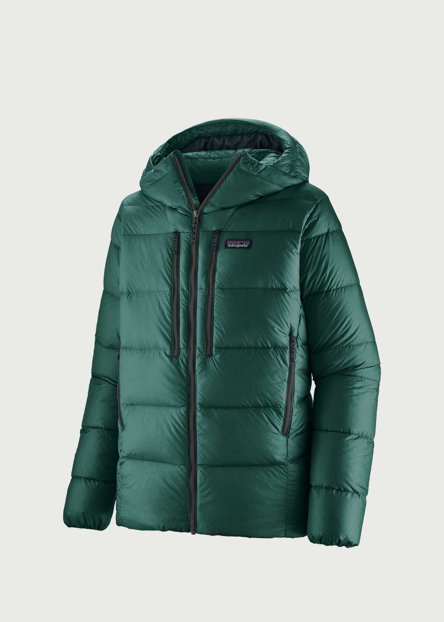 Patagonia Fitz Roy Down Hoodie