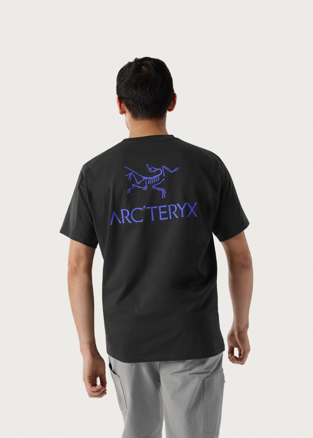 【ARC`TERYX】 KRAGG SUPIMA COTTON BIRD WORD SS M ARC'TERYX / Kragg SL Cotton Bird Word SS M - W/