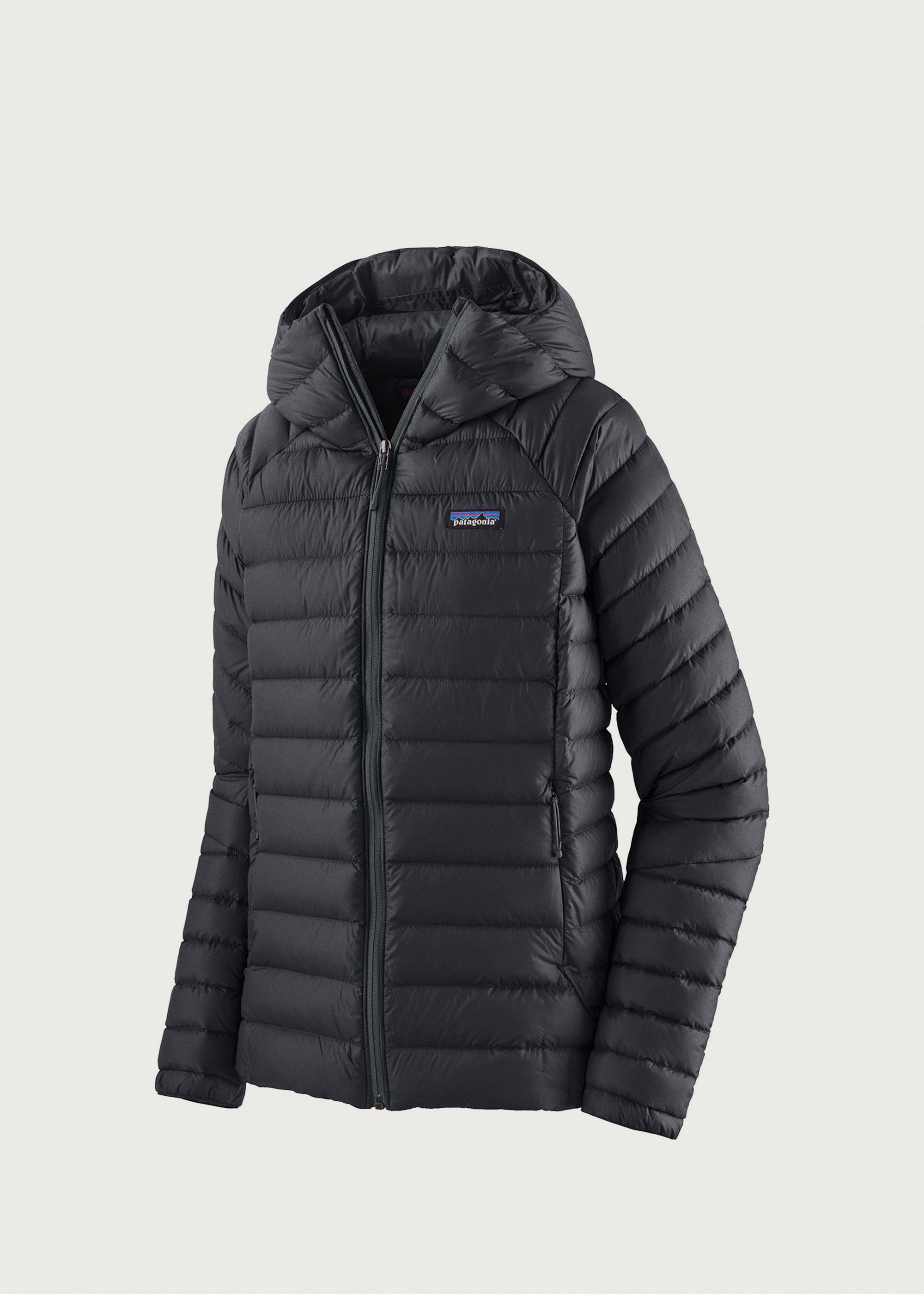 Patagonia Down Sweater Hoodie