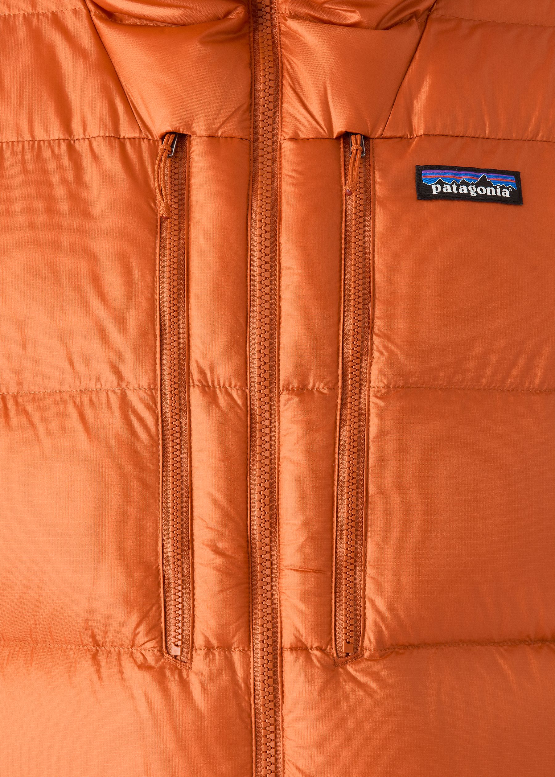 Patagonia Fitz Roy Down Hoodie