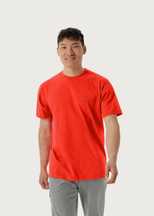 Kragg SL Cotton Birdword Tee