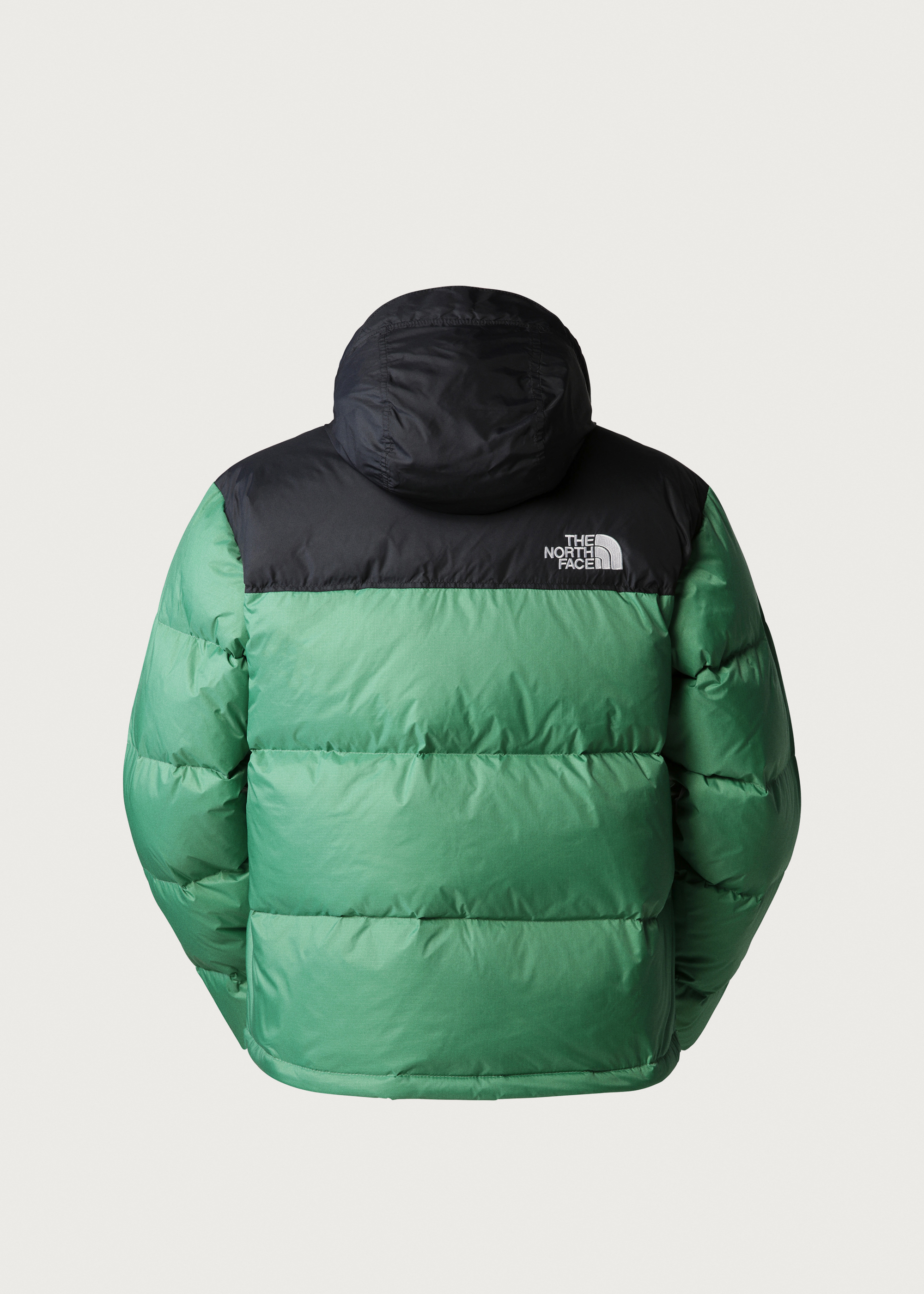 1996 Leaf North Face Leaves Jacket The North Face 1996 Retro 