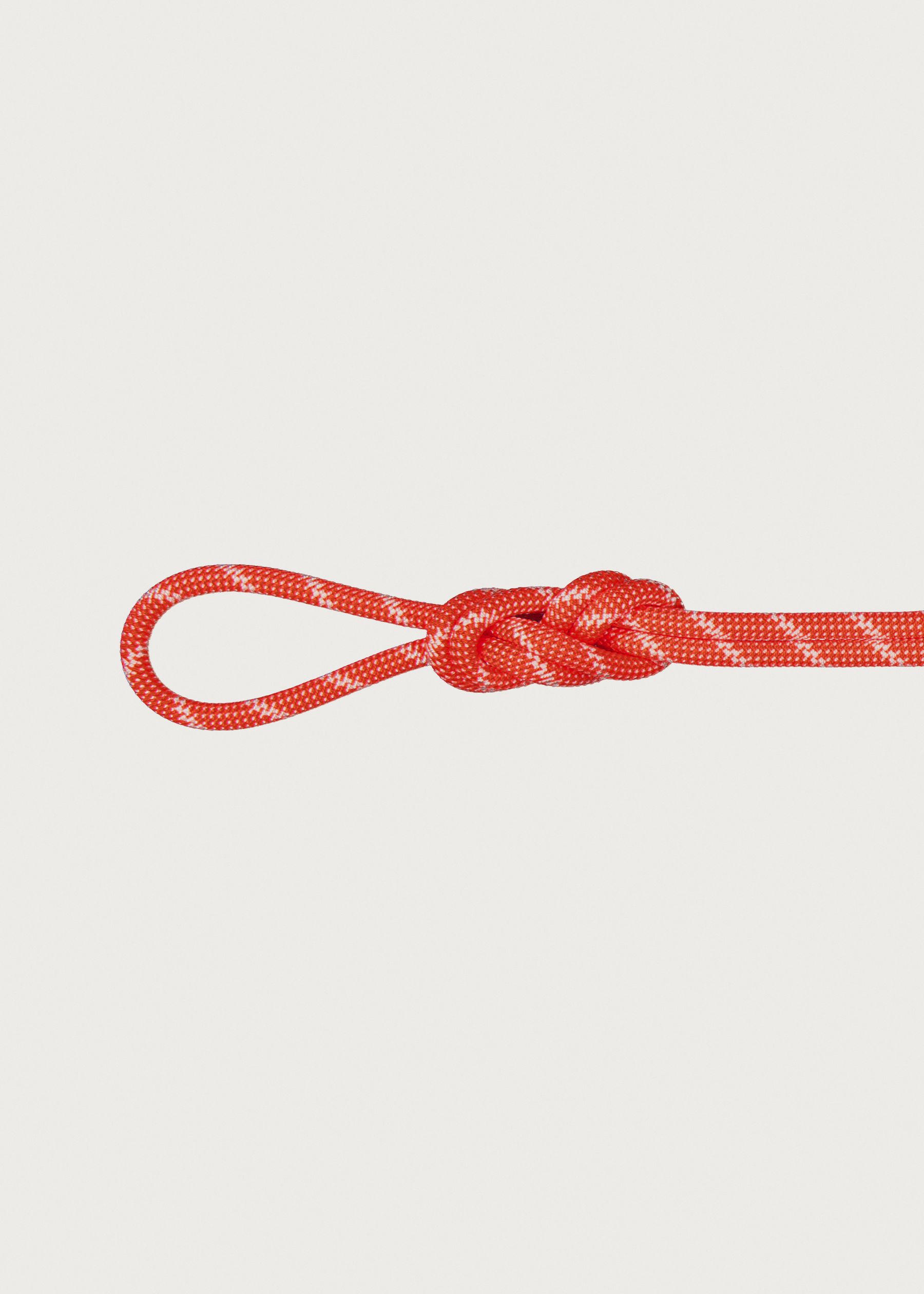 Image - 1 - Alpine Classic 8.0 x 30 Rope