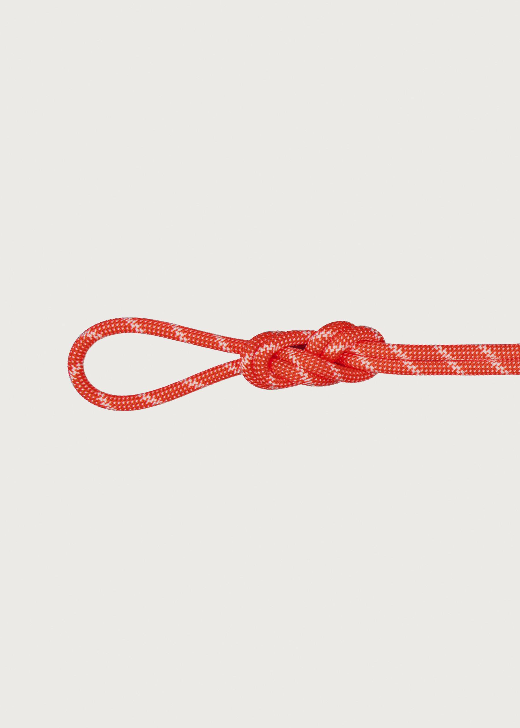 Image - 3 - Alpine Classic 8.0 x 30 Rope