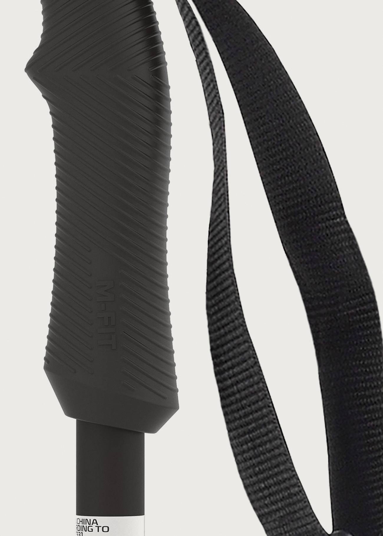 Atomic Cloud Ski Poles