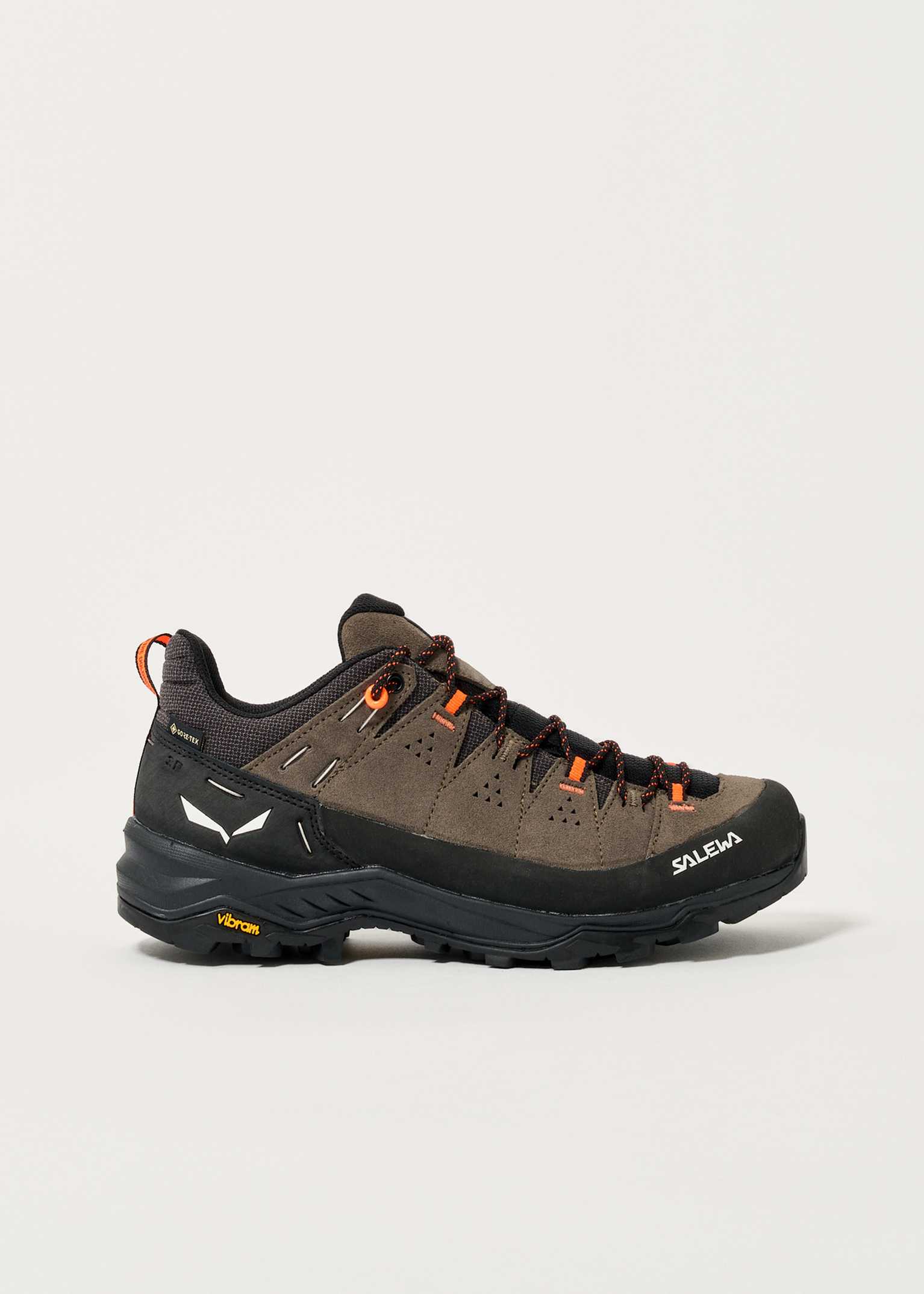 Salewa Alp Trainer 2 GORE-TEX Walking Shoes