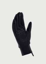 Sealskinz Tasburgh Gloves