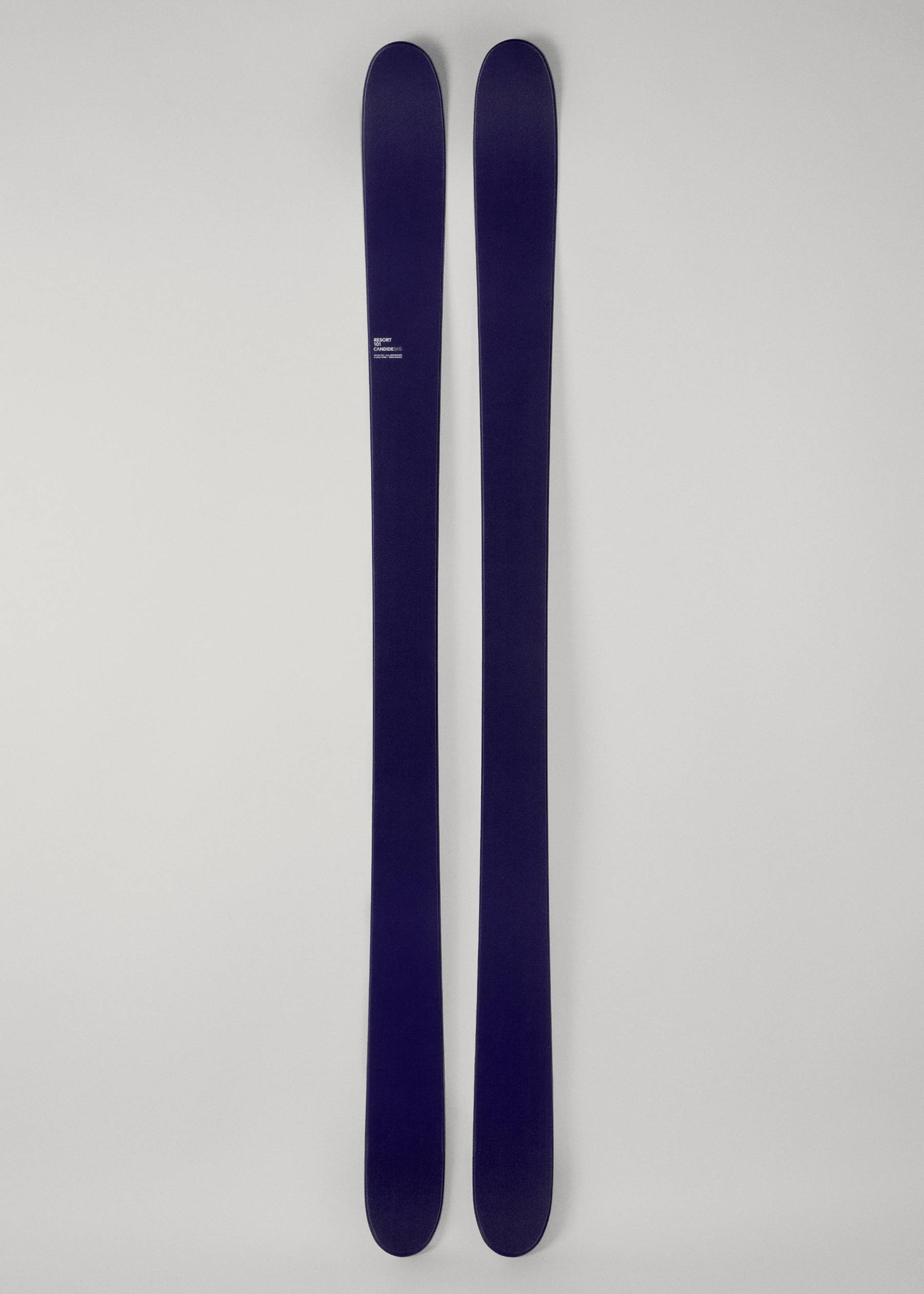 Image - 3 - Resort 101 Skis