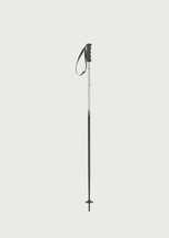 Alpine Ti Bright Ski Poles