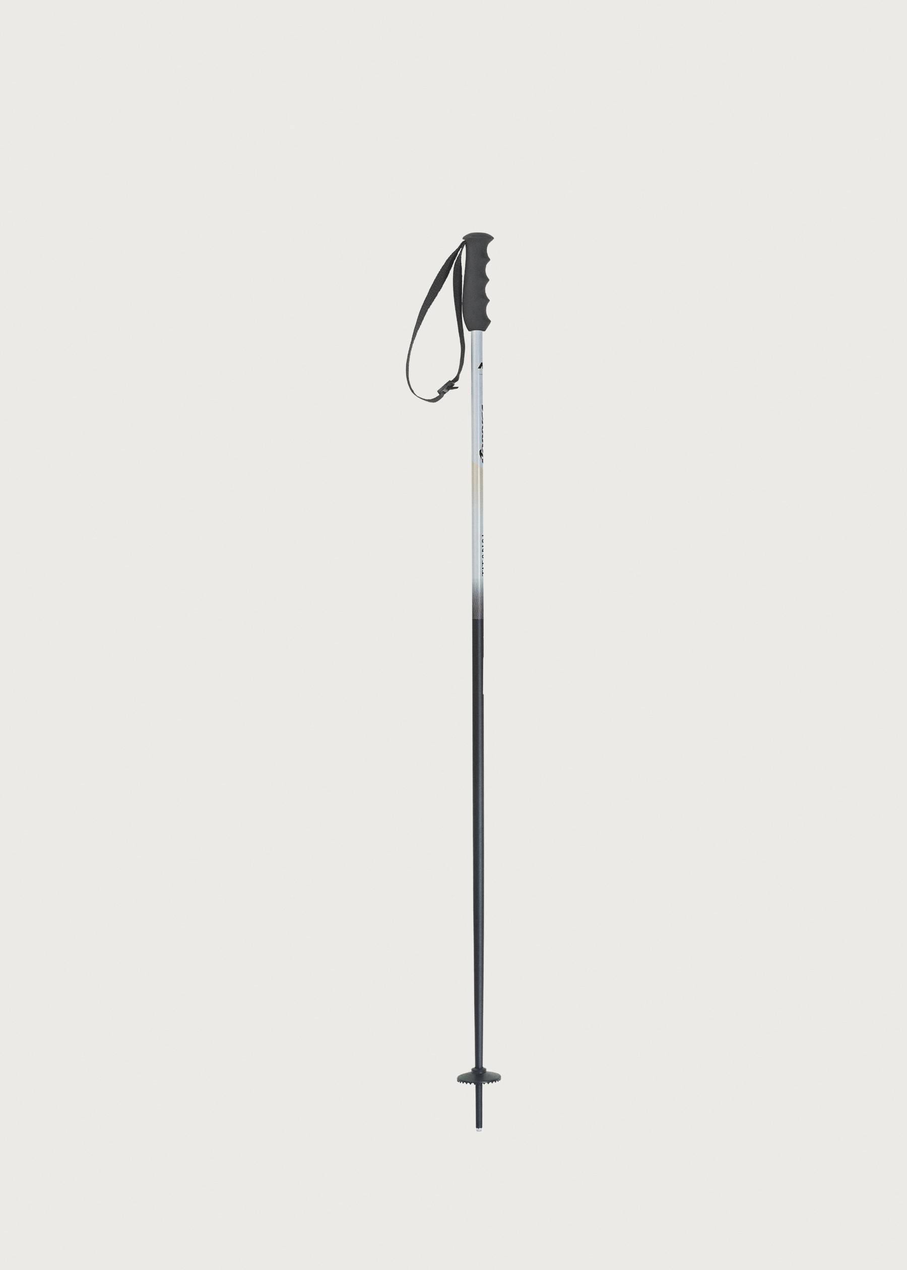 Image - 3 - Alpine Ti Bright Ski Poles