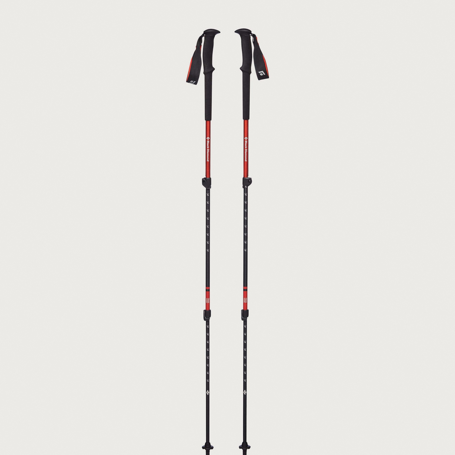 Image of Walking poles