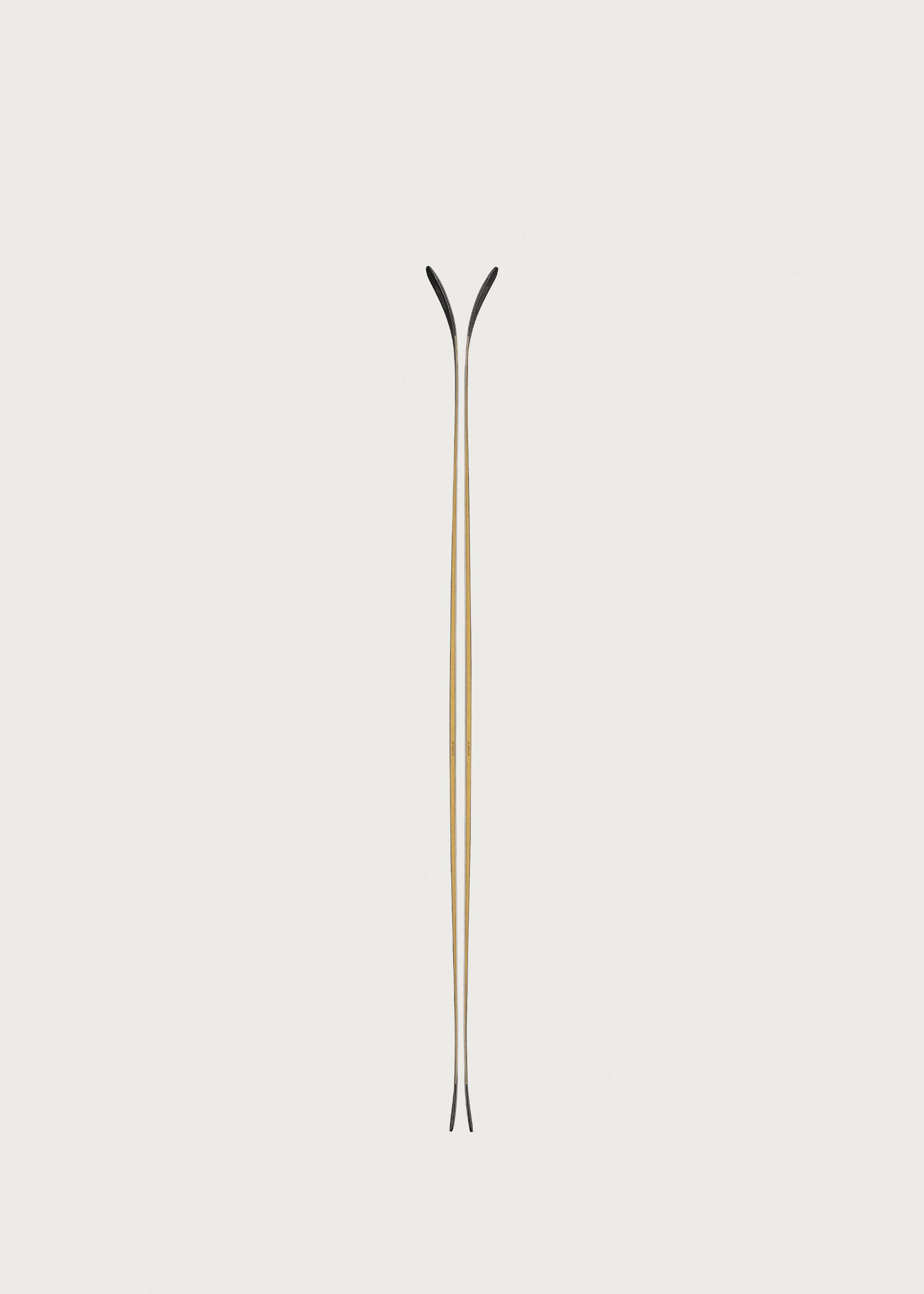 Image - 3 - Anomaly 88 Skis