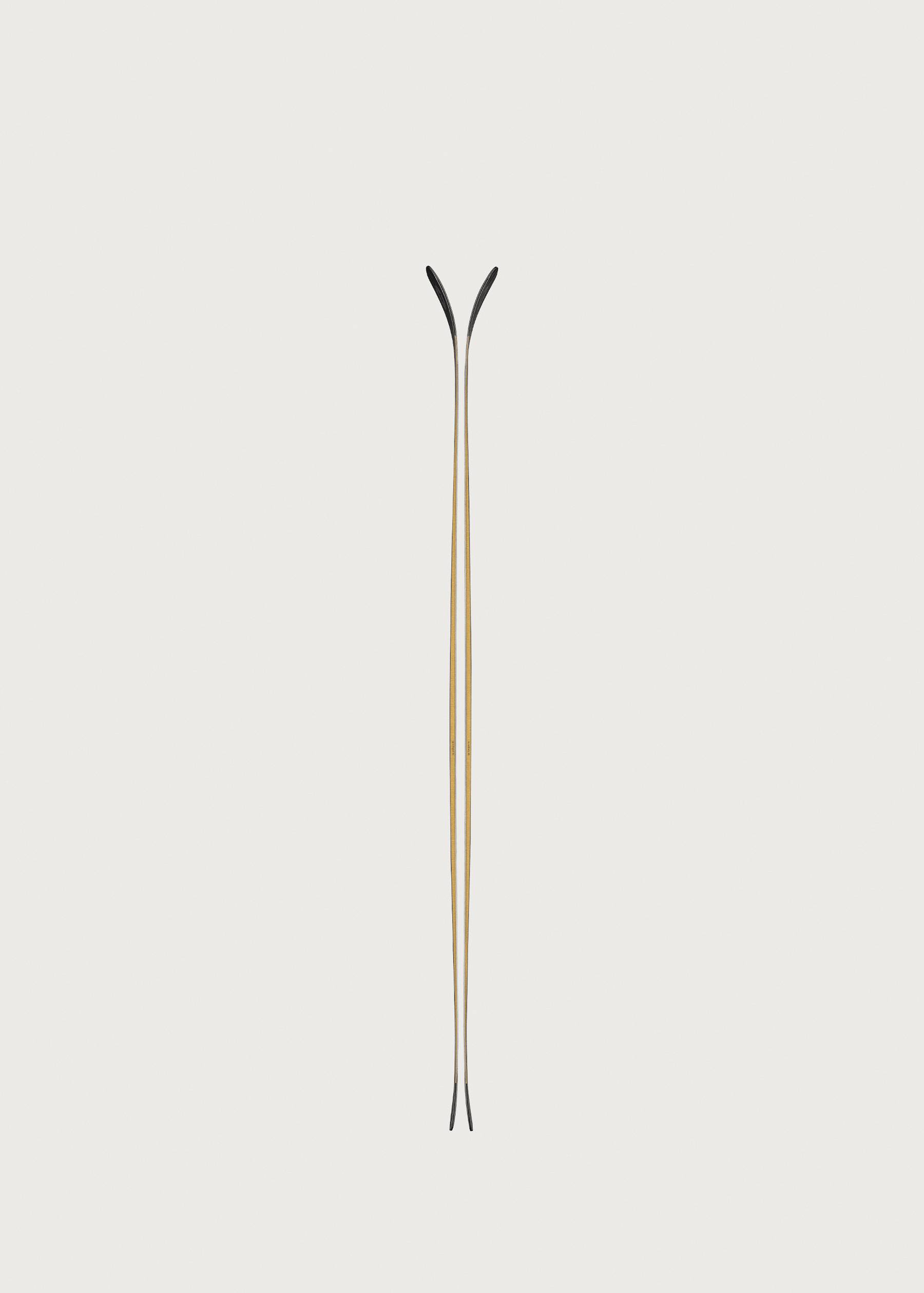 Image - 3 - Anomaly 88 Skis