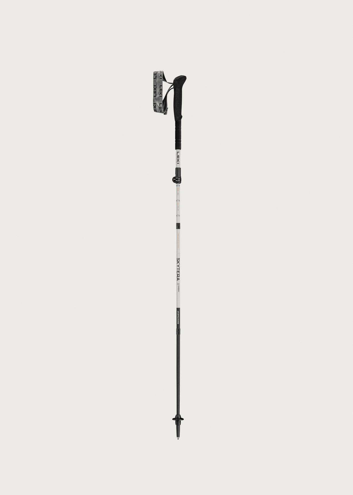Leki World Cup Closed Gate Guard