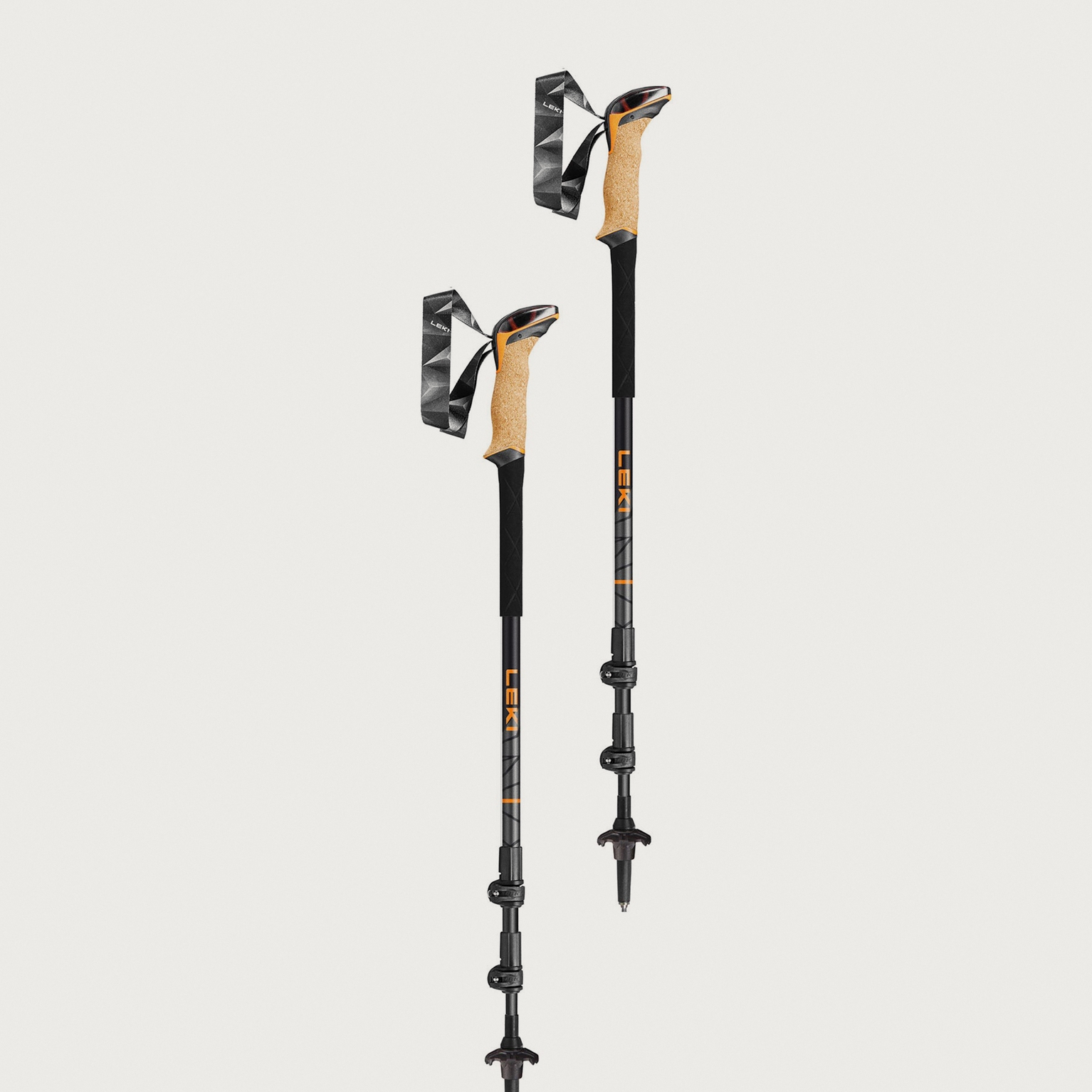Image of Walking poles