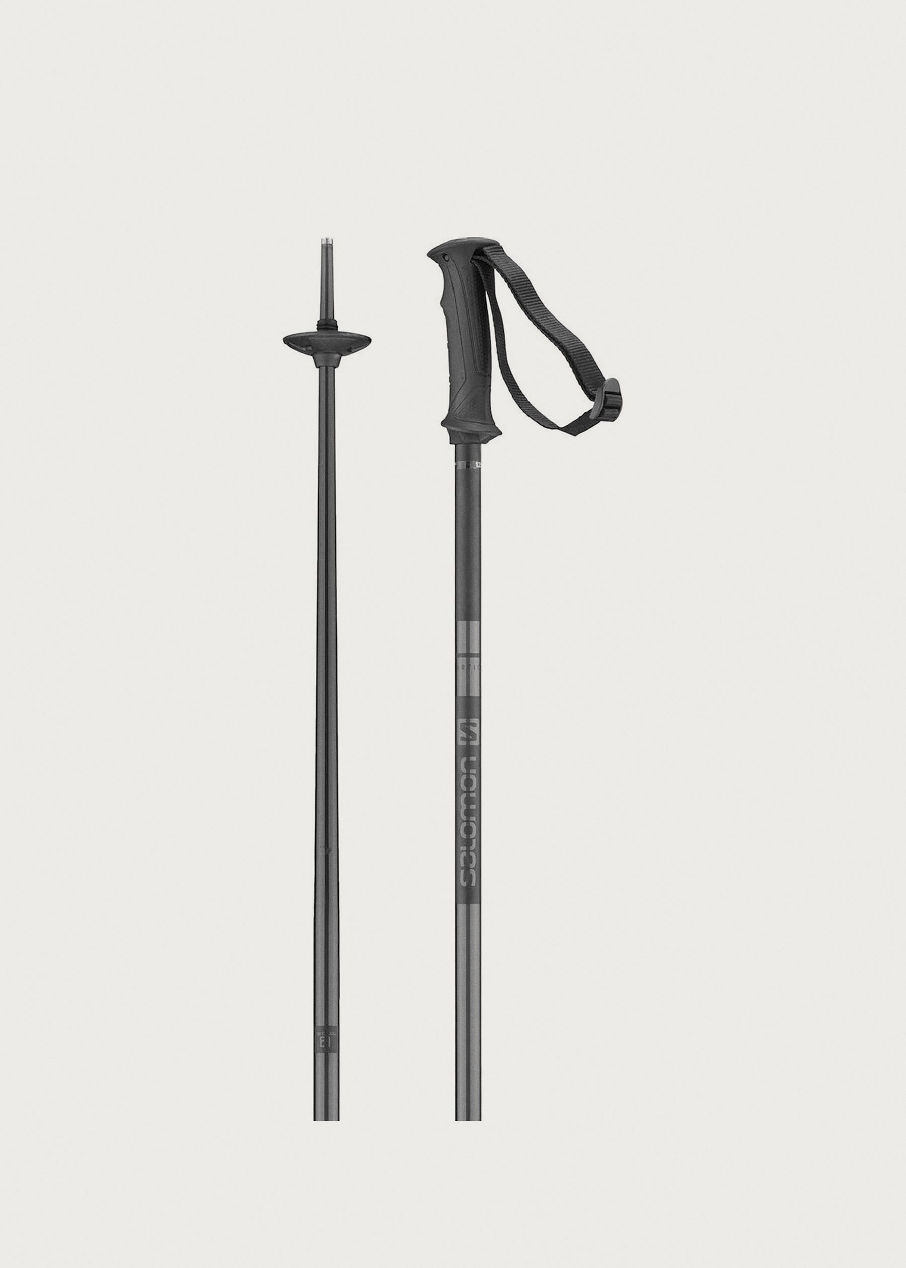 Image - 1 - Arctic Ski Poles