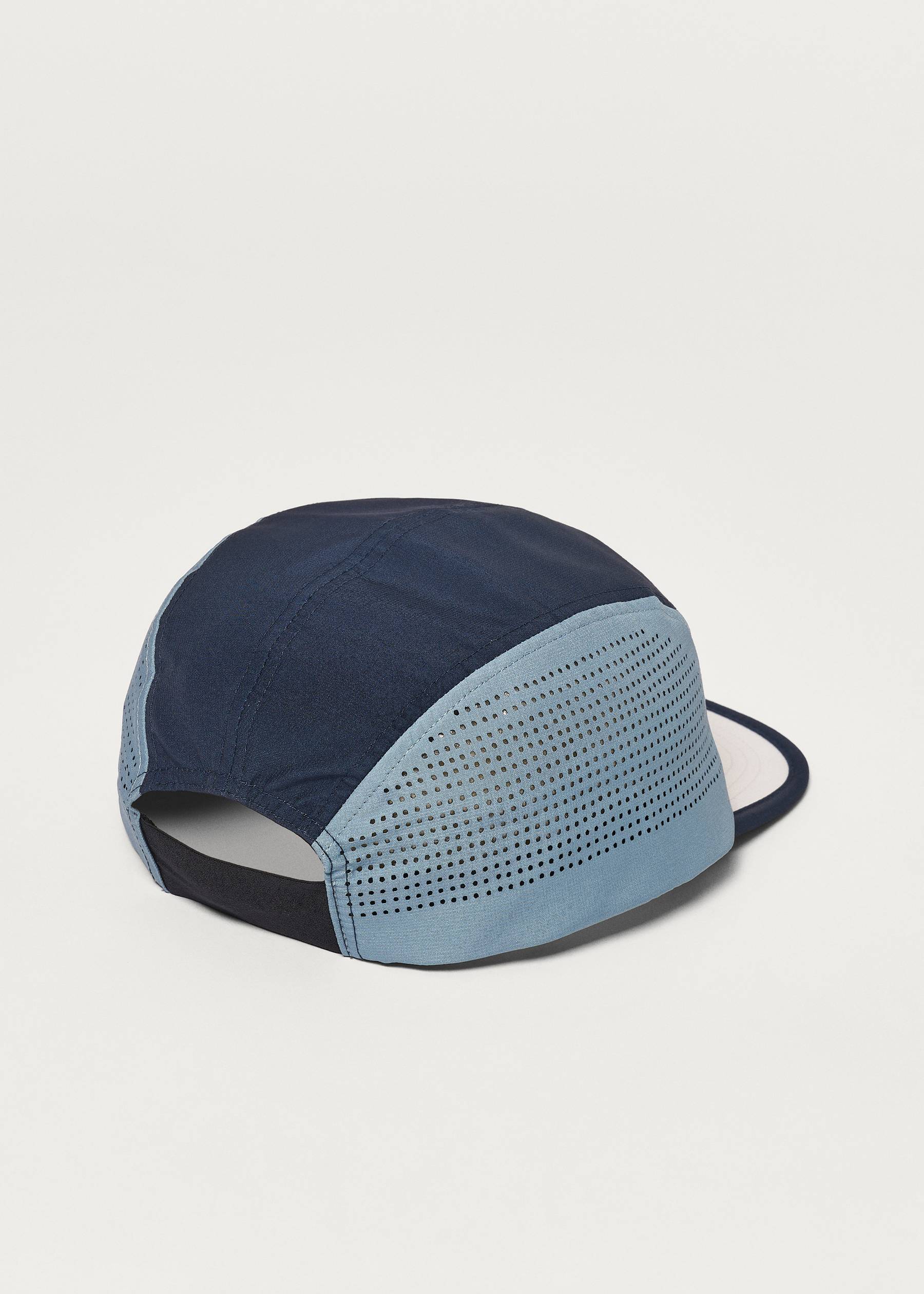 Image - 3 - Skyline Cap