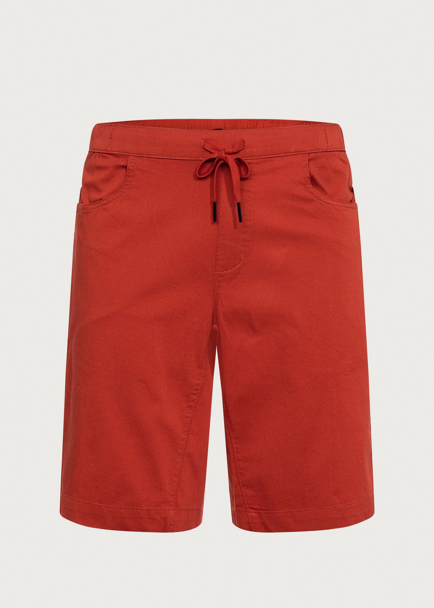 Image - 1 - Notion Shorts