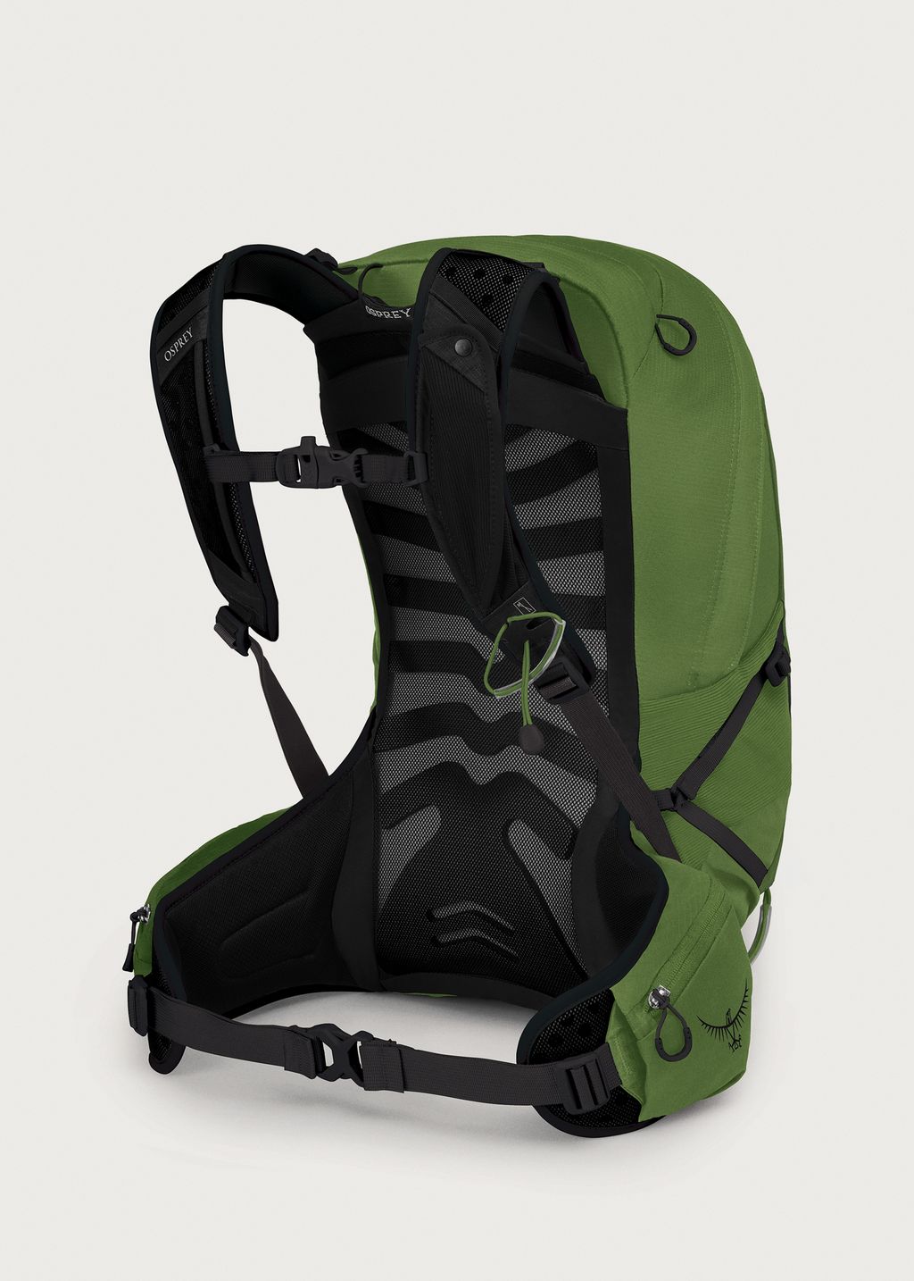Osprey Talon 22 Backpack