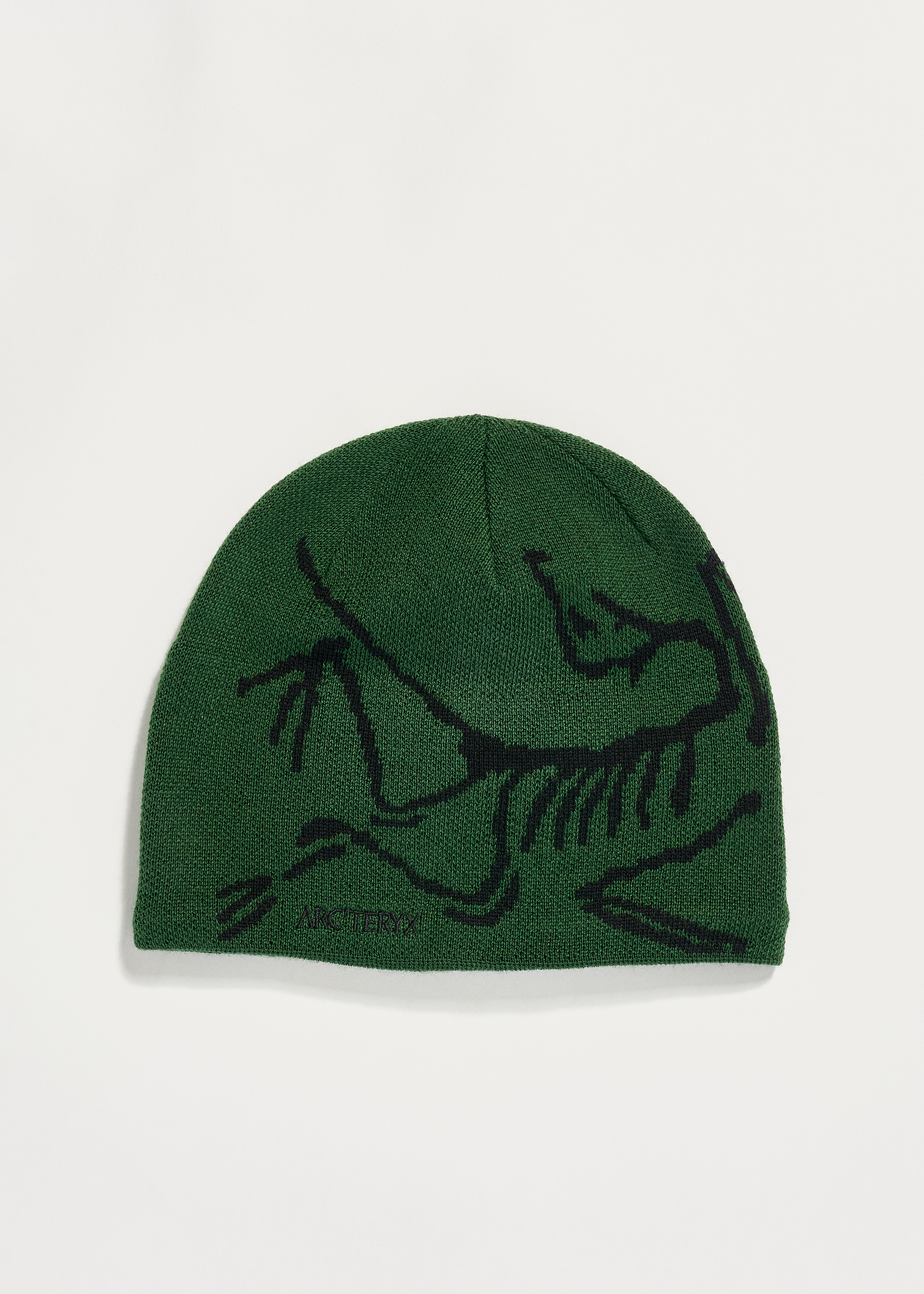 Arc'teryx Bird Head Toque