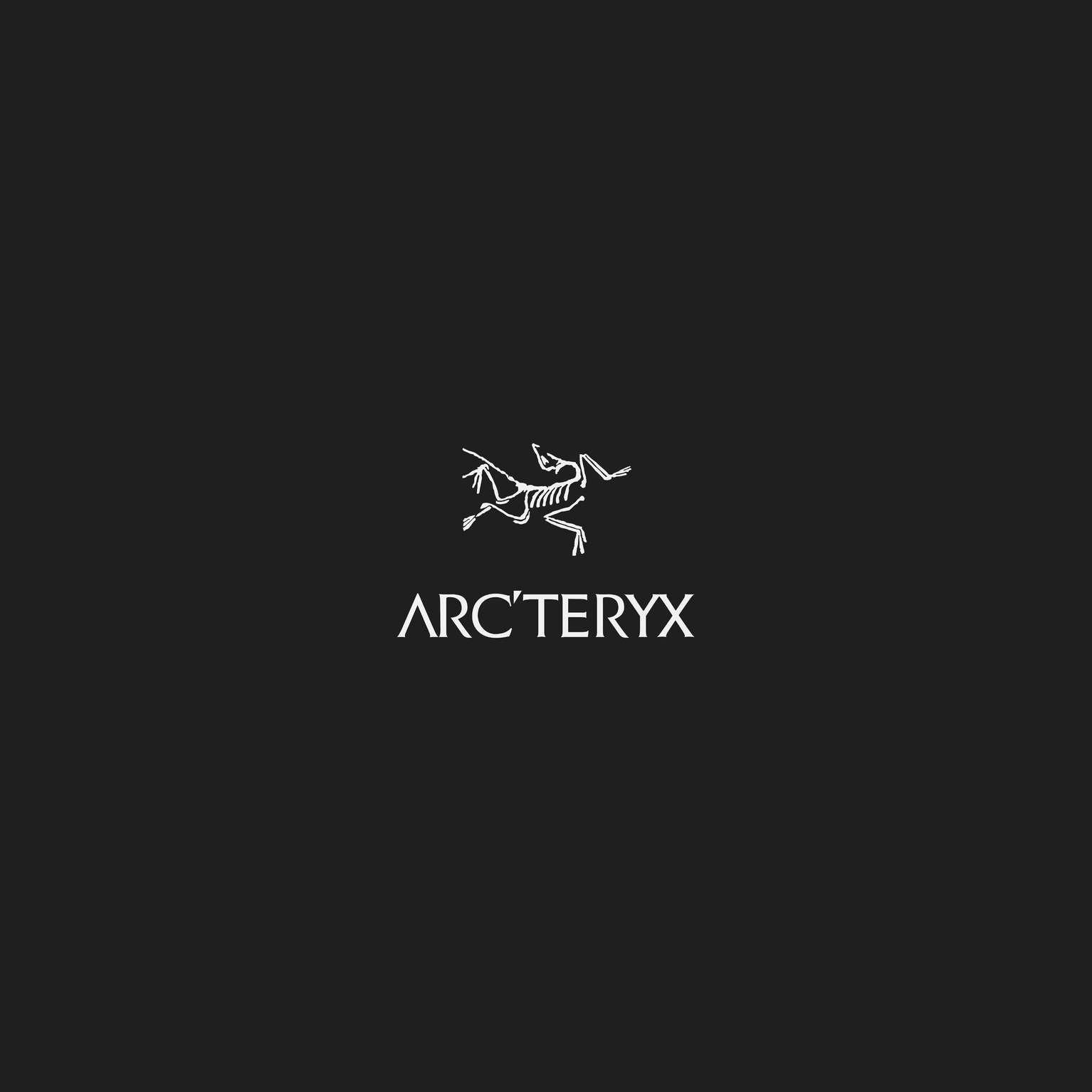 Image of Arc'teryx