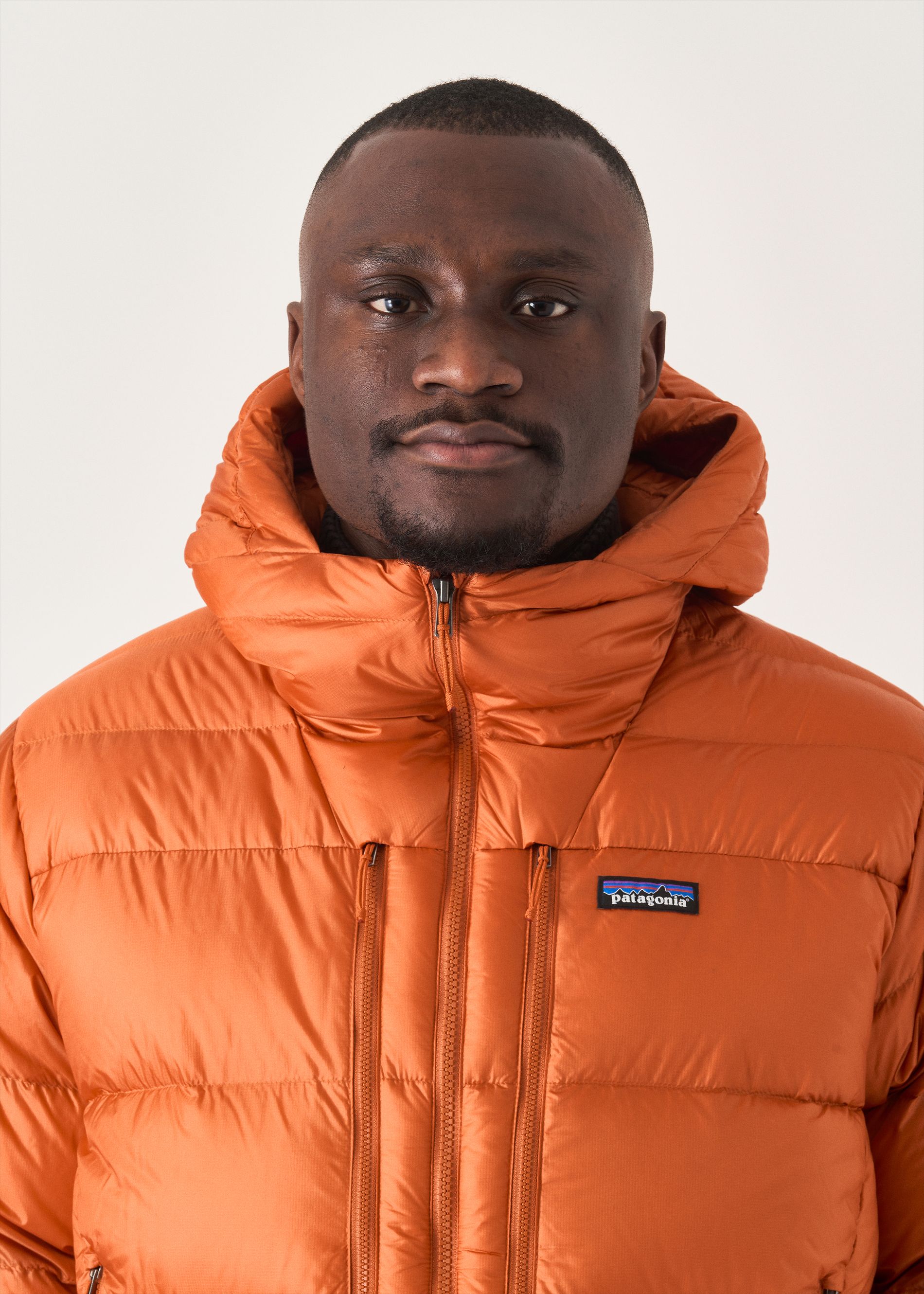 Patagonia Fitz Roy Down Hoodie
