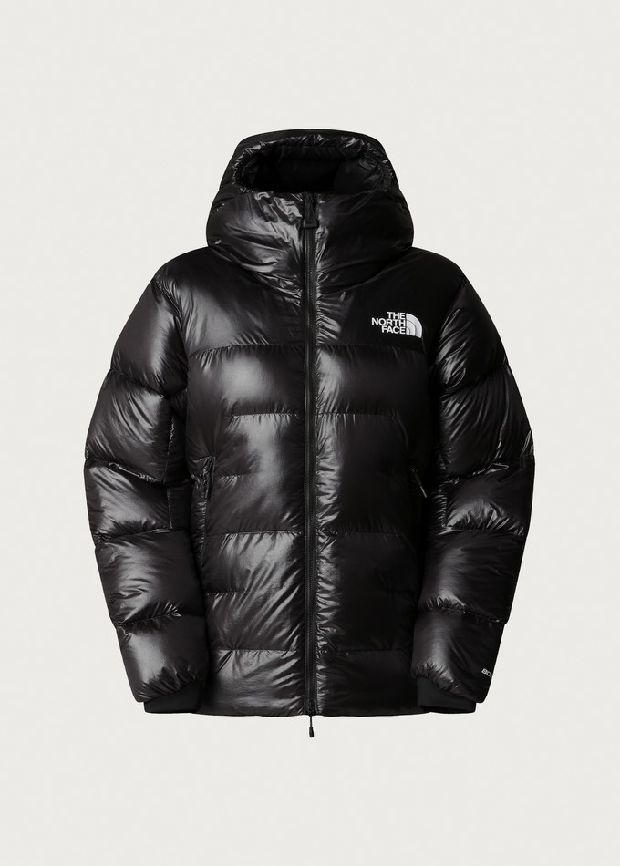 The North Face Summit Series FUTUREFLEECE LT 1/2 Zip