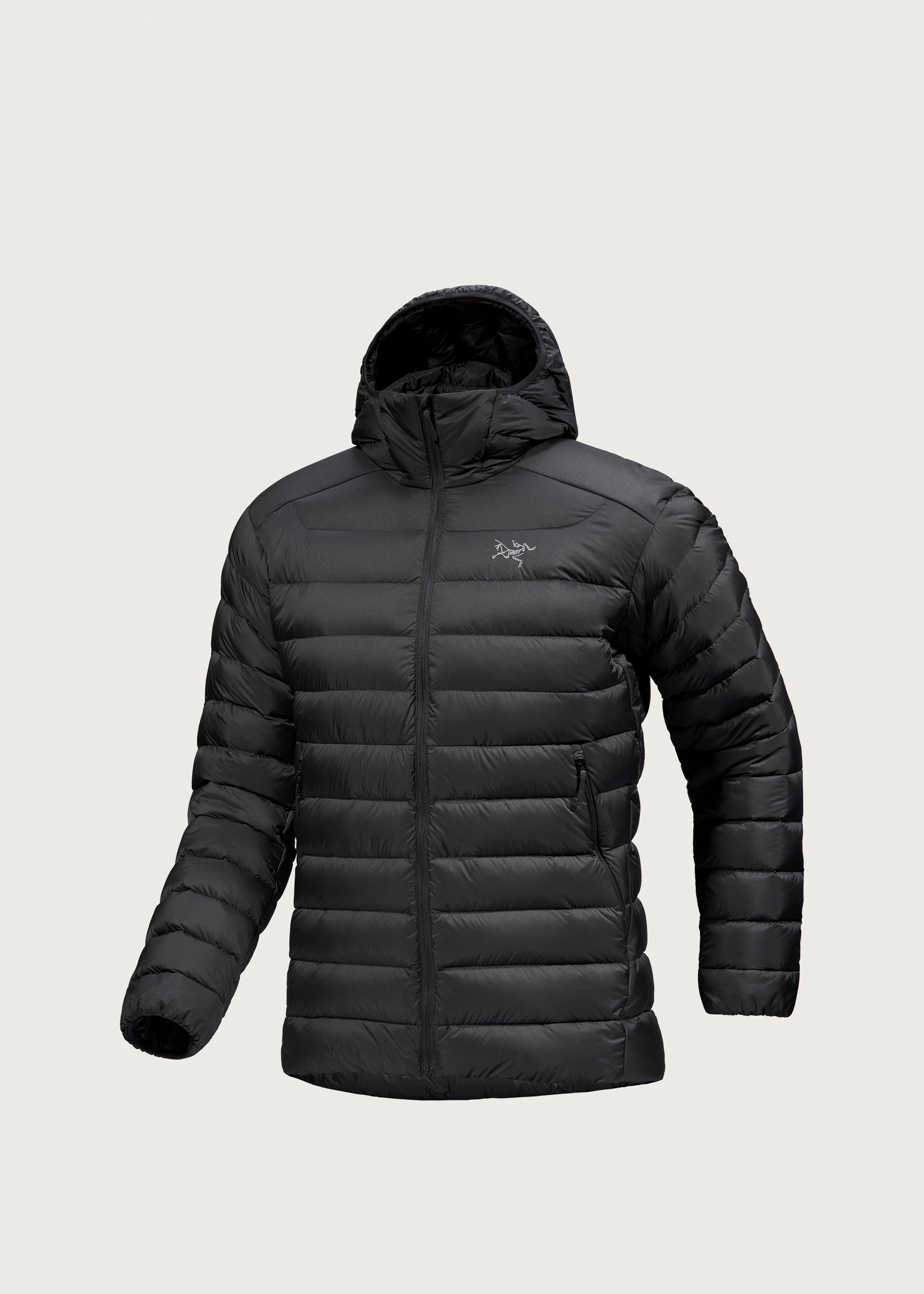 PALACE×ARC’TERYX 2020 Cerium LT Hoodie Cerium Hoody Men's | Arc'teryx Netherlands