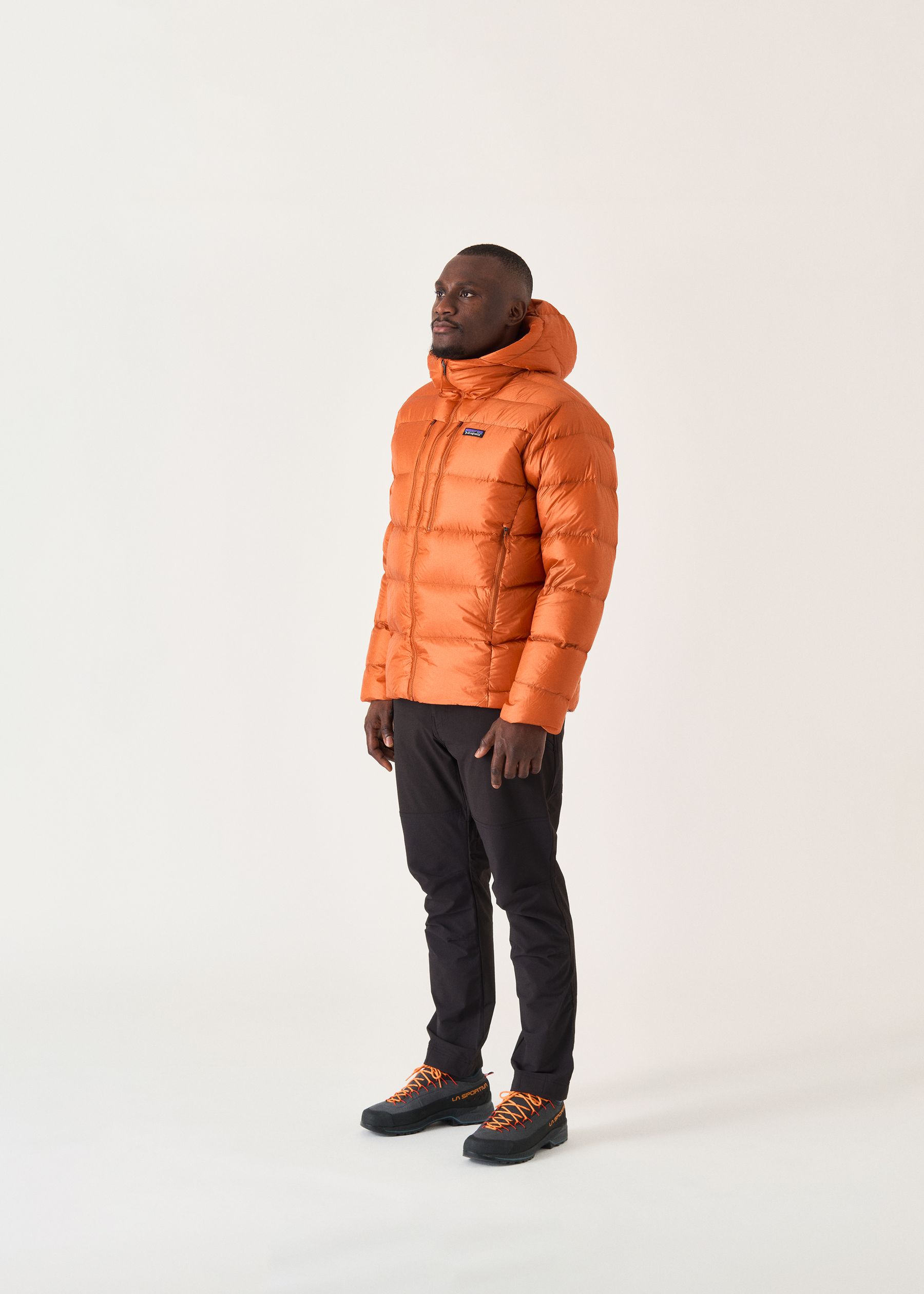 Patagonia Fitz Roy Down Hoodie