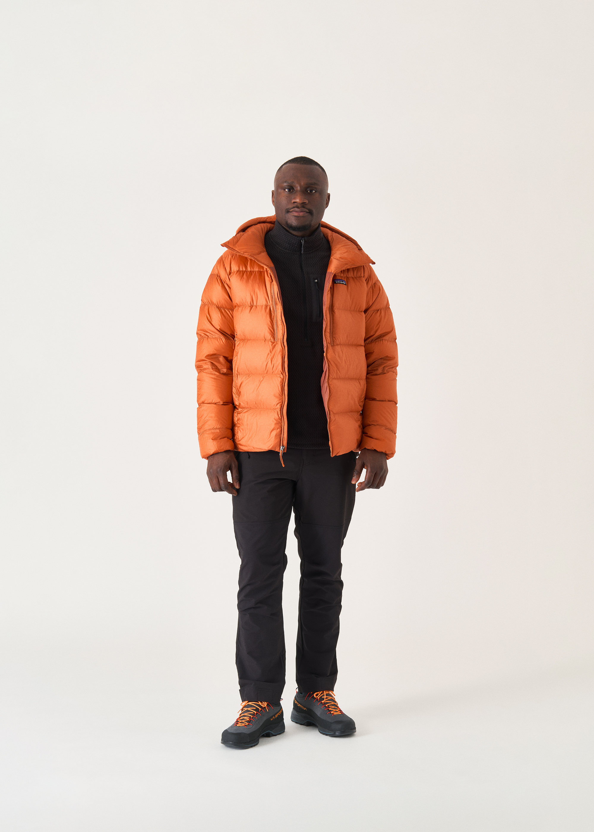 Patagonia Fitz Roy Down Hoodie