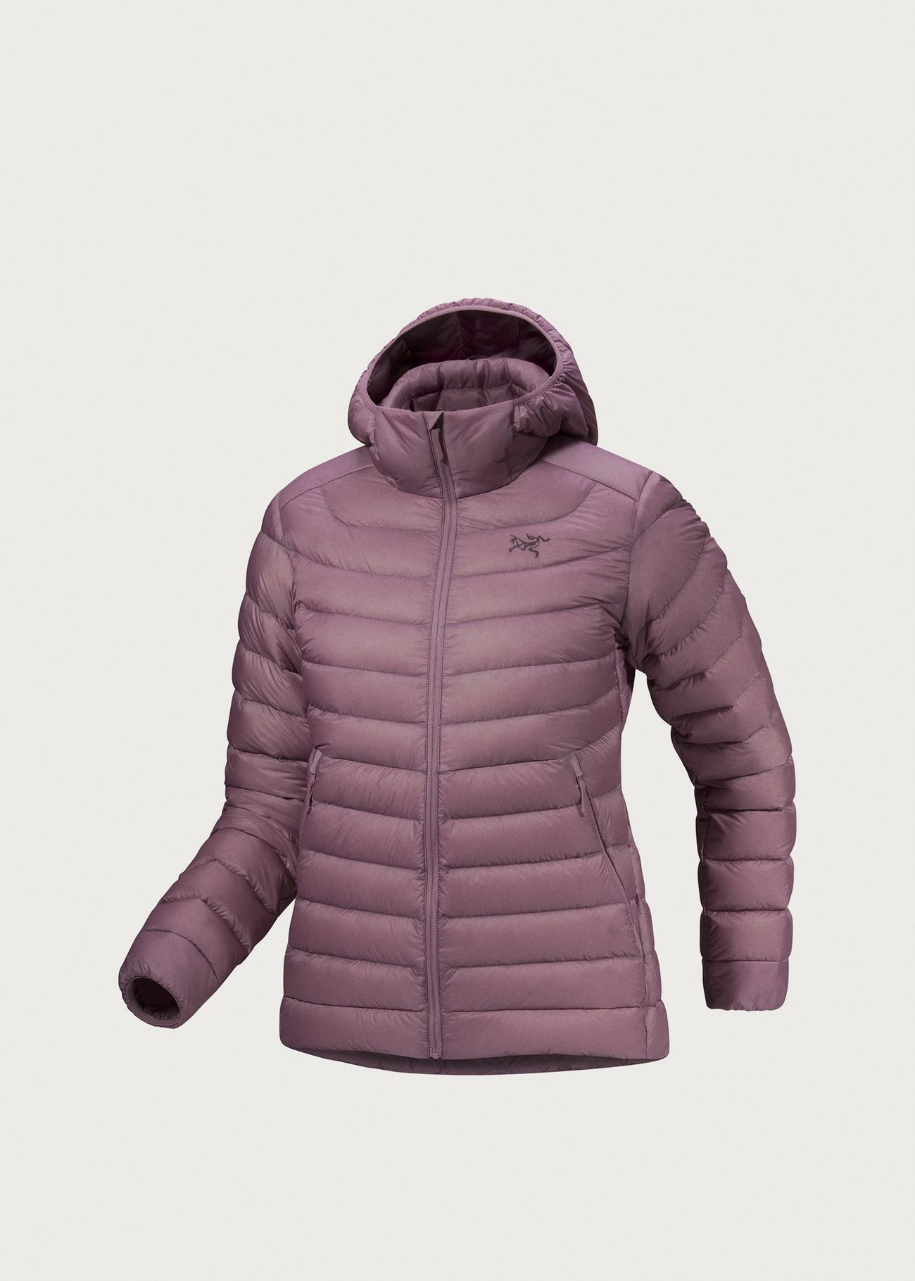 Arc'teryx Cerium Hoody