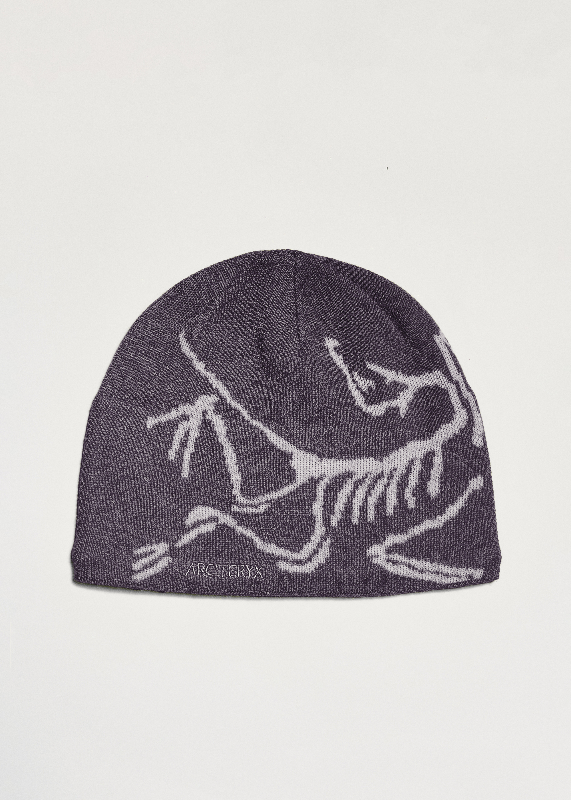Arc'teryx Bird Head Toque