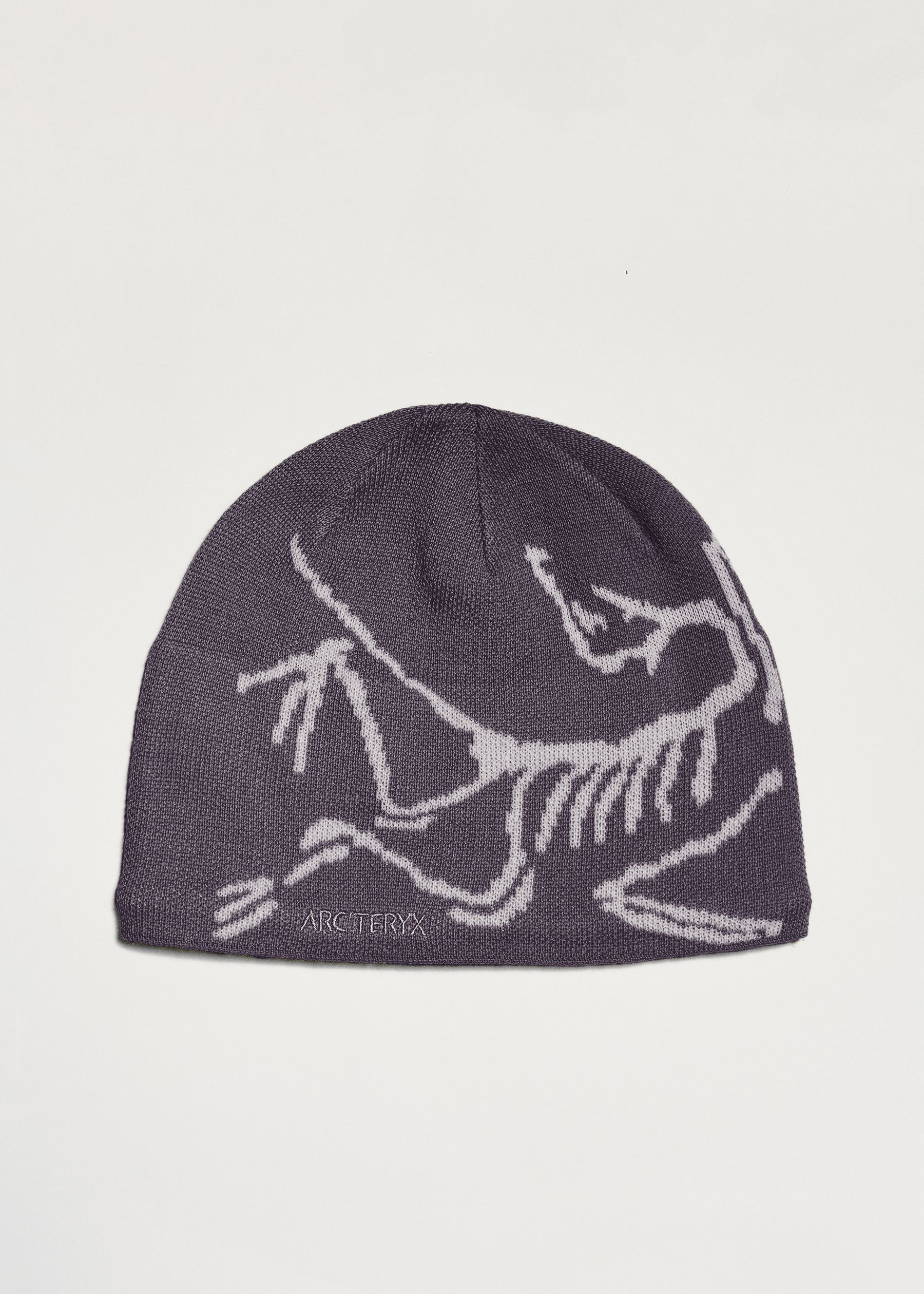 Arc'teryx Bird Head Toque
