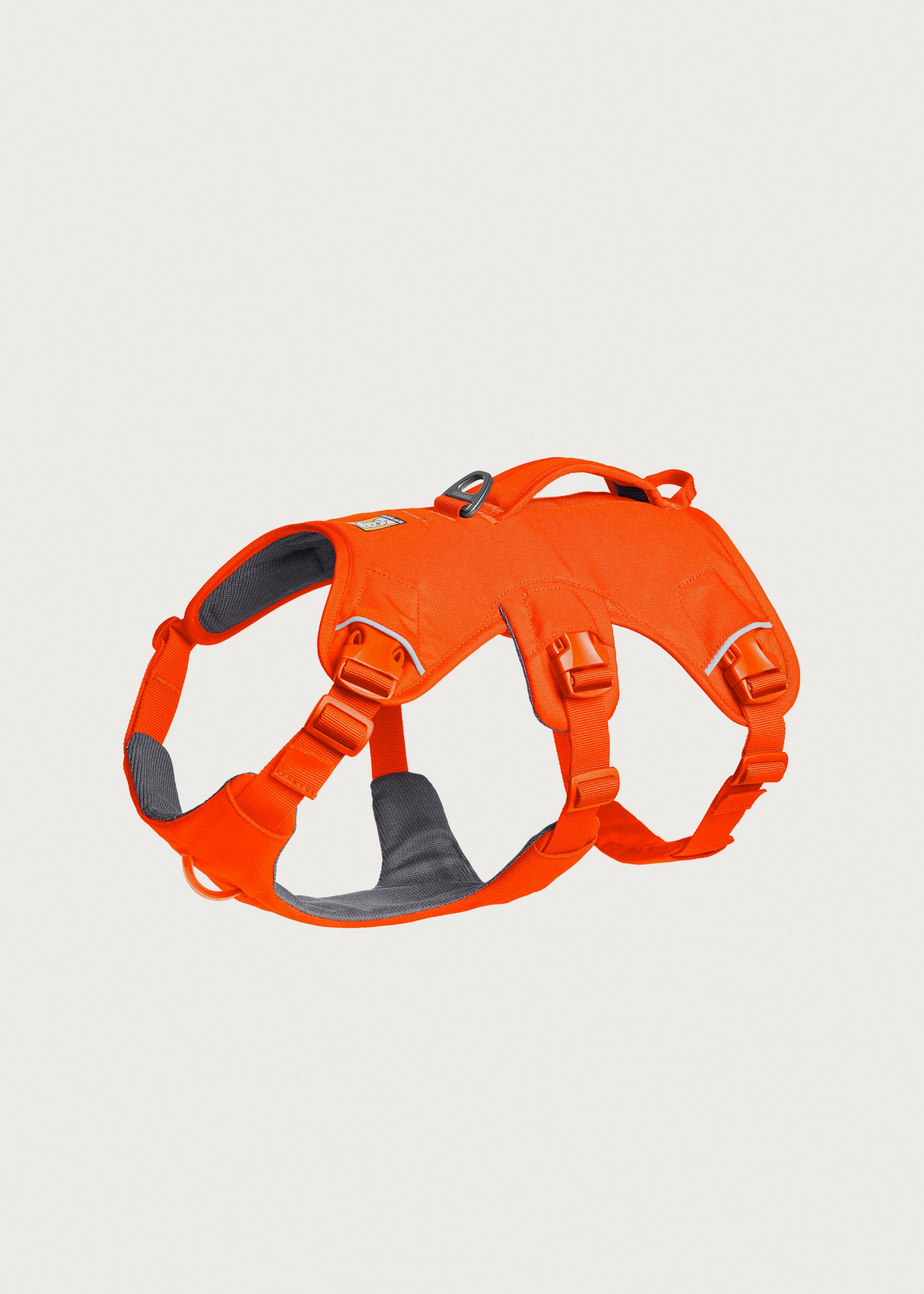 Image - 1 - Web Master Harness